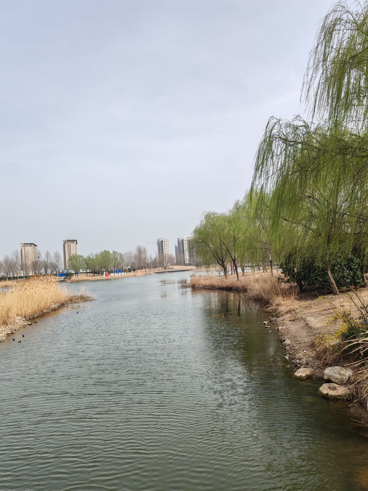 武陟凤仪湖公园旅行图片 3
