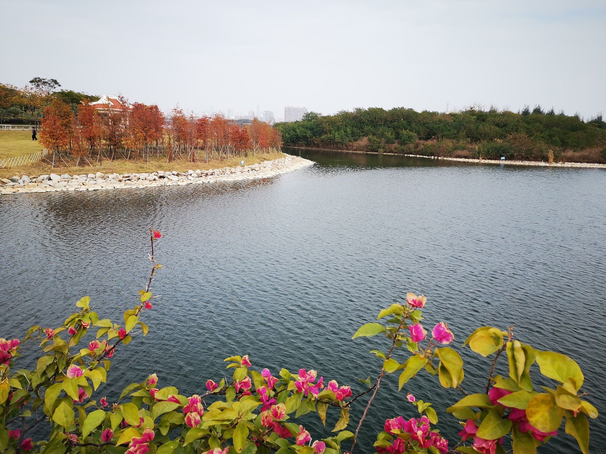马銮湾环湾带状公园旅行图片 1