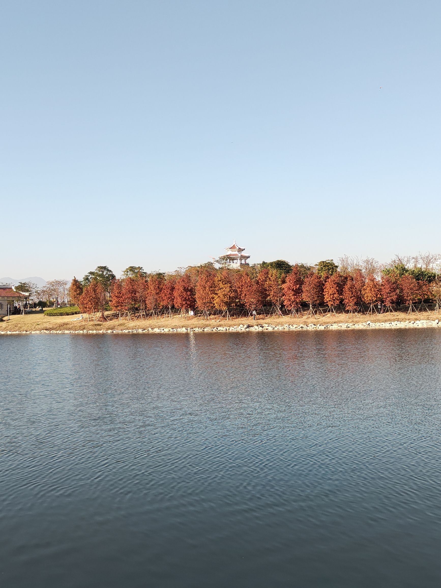 马銮湾环湾带状公园旅行图片 1