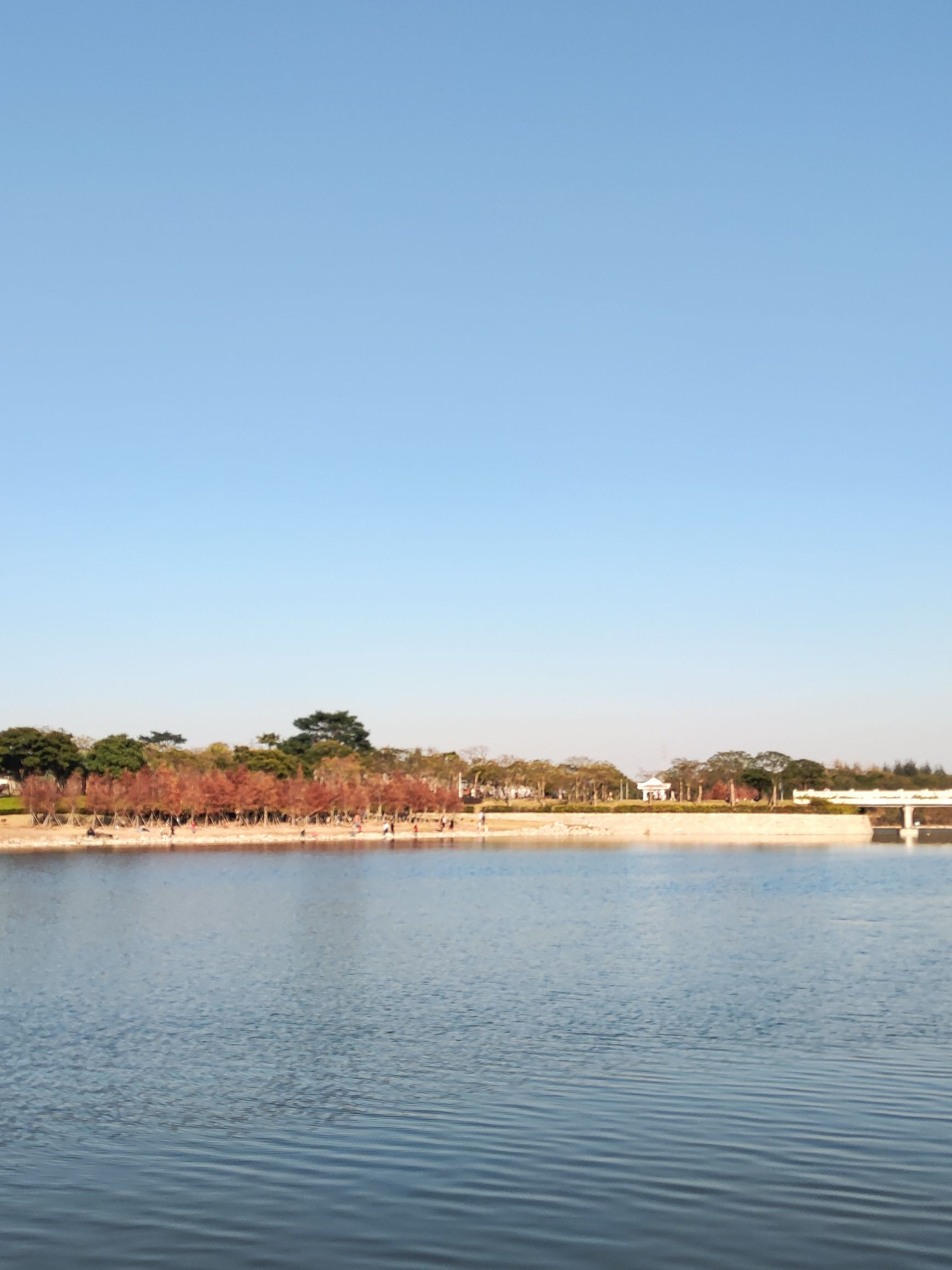 马銮湾环湾带状公园旅行图片 3