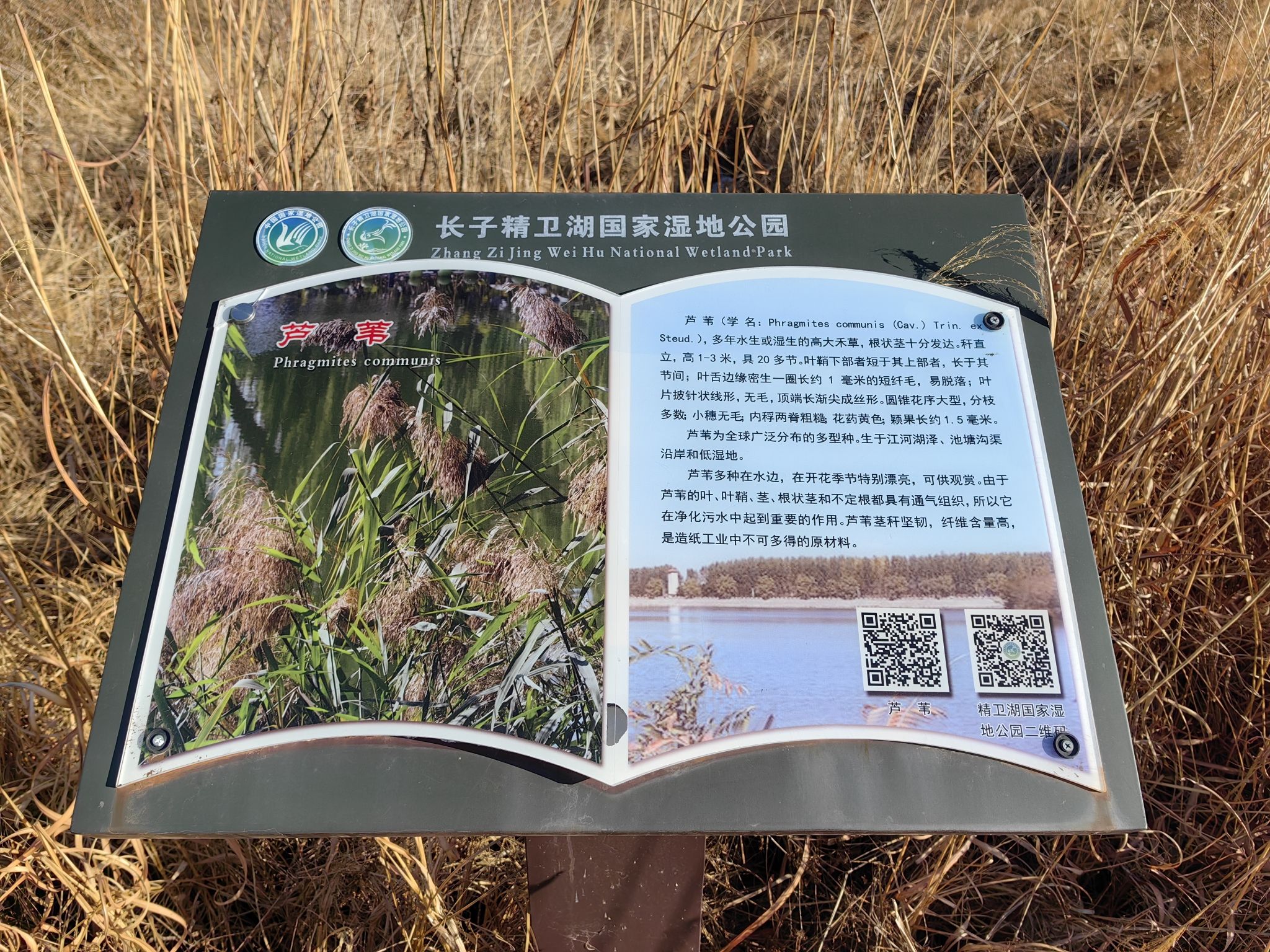 精卫湖国家湿地公园旅行图片 2