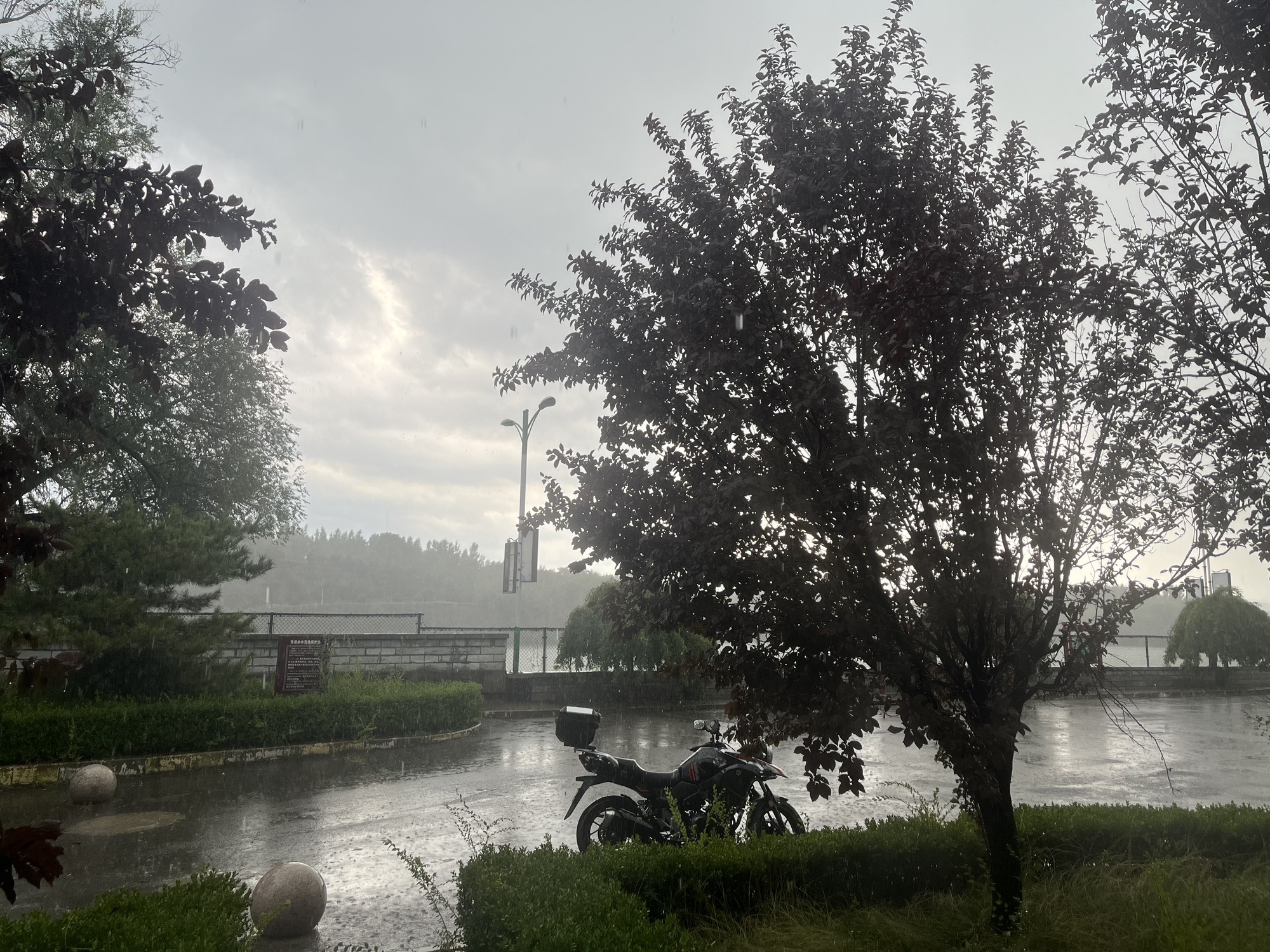 精卫湖国家湿地公园旅行图片 3