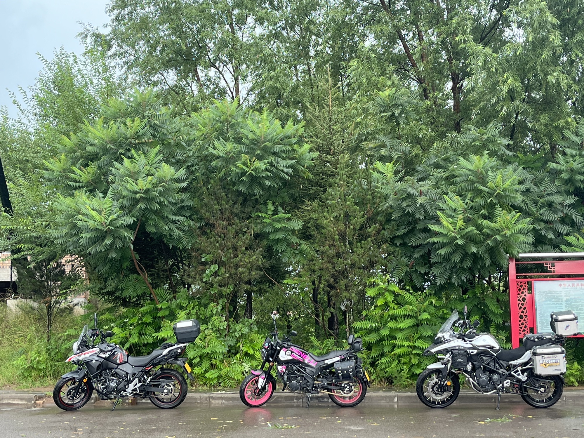 精卫湖国家湿地公园旅行图片 1