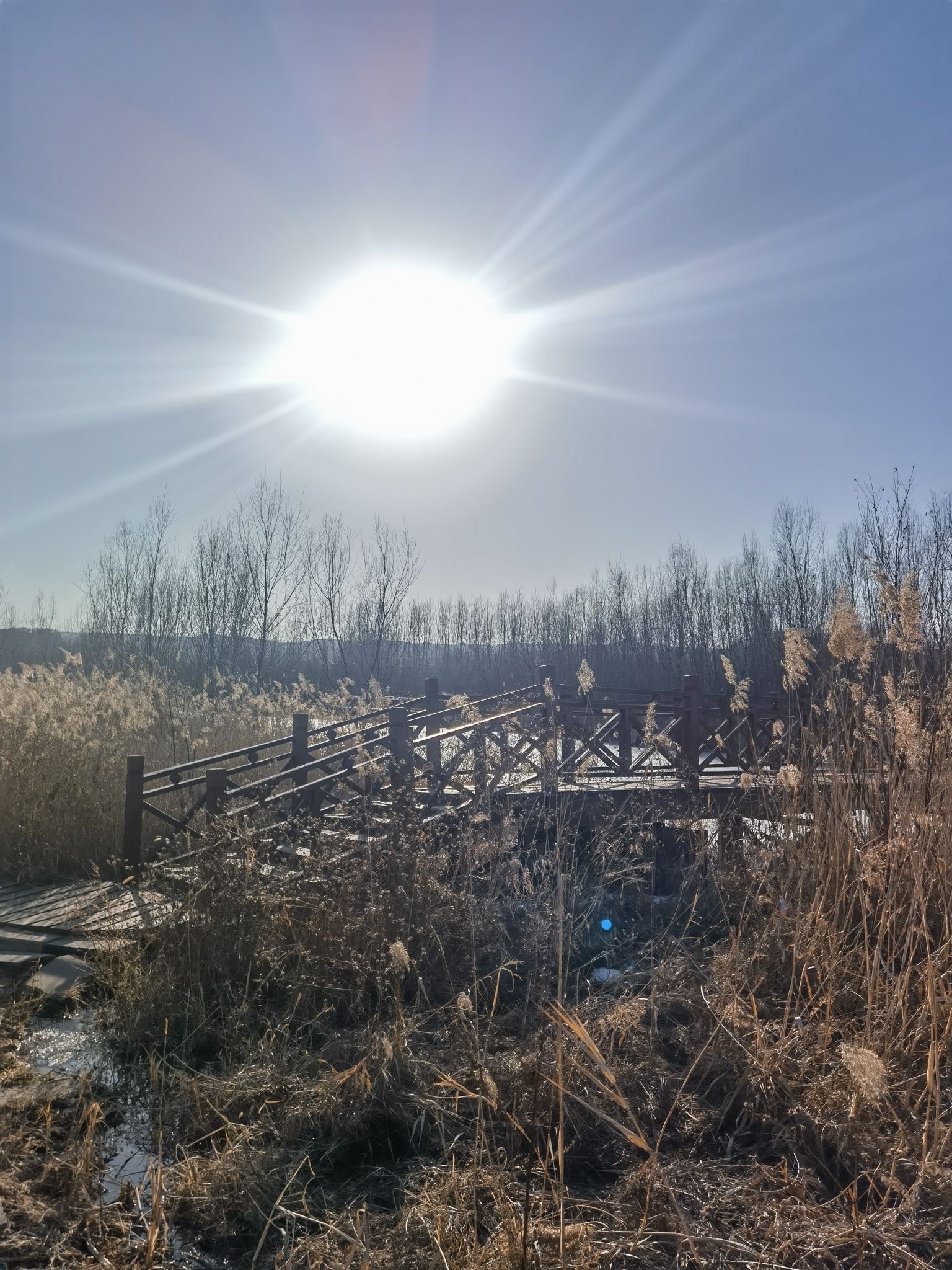 精卫湖国家湿地公园旅行图片 2