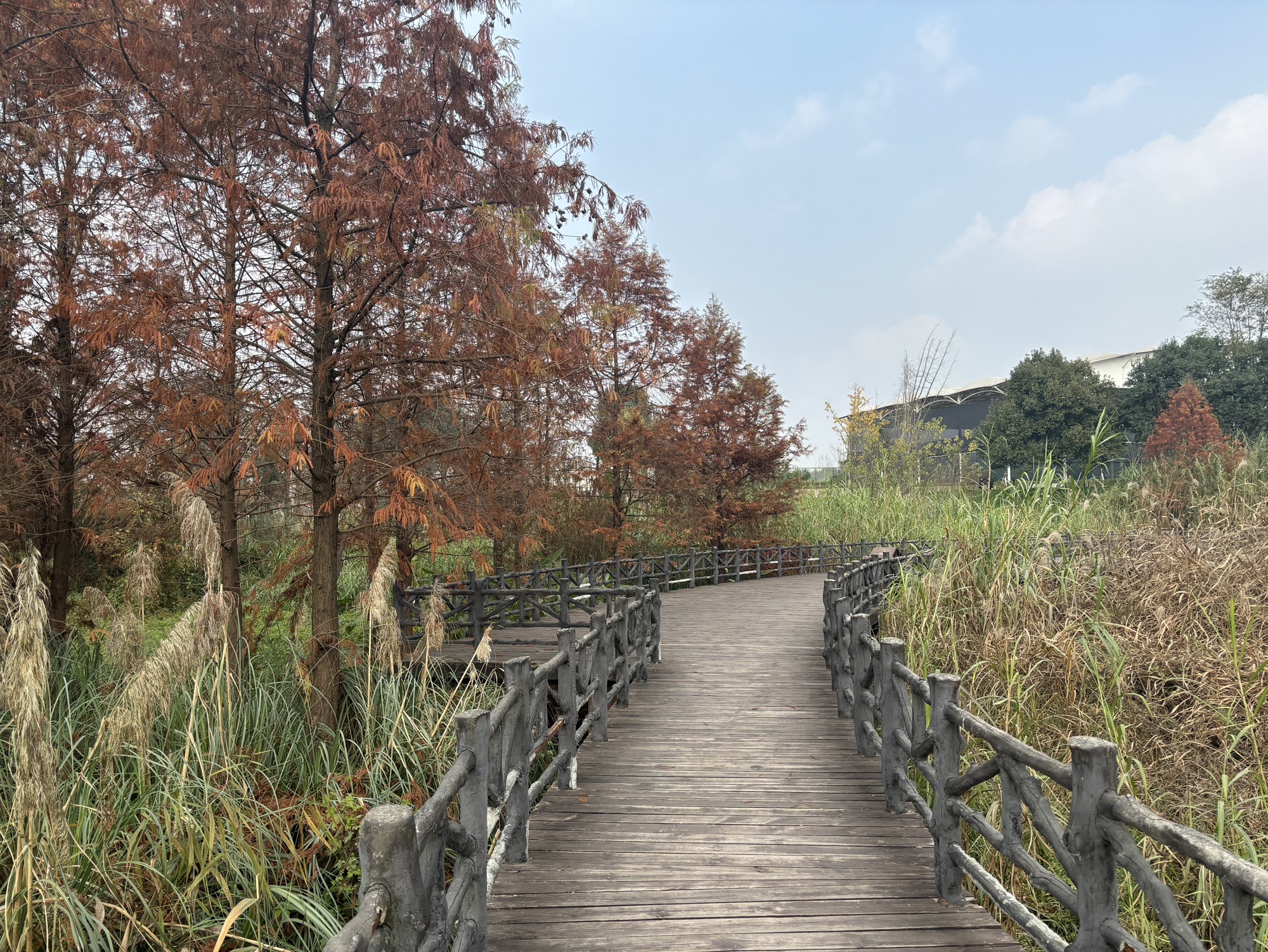 花房子湿地公园旅行图片 2