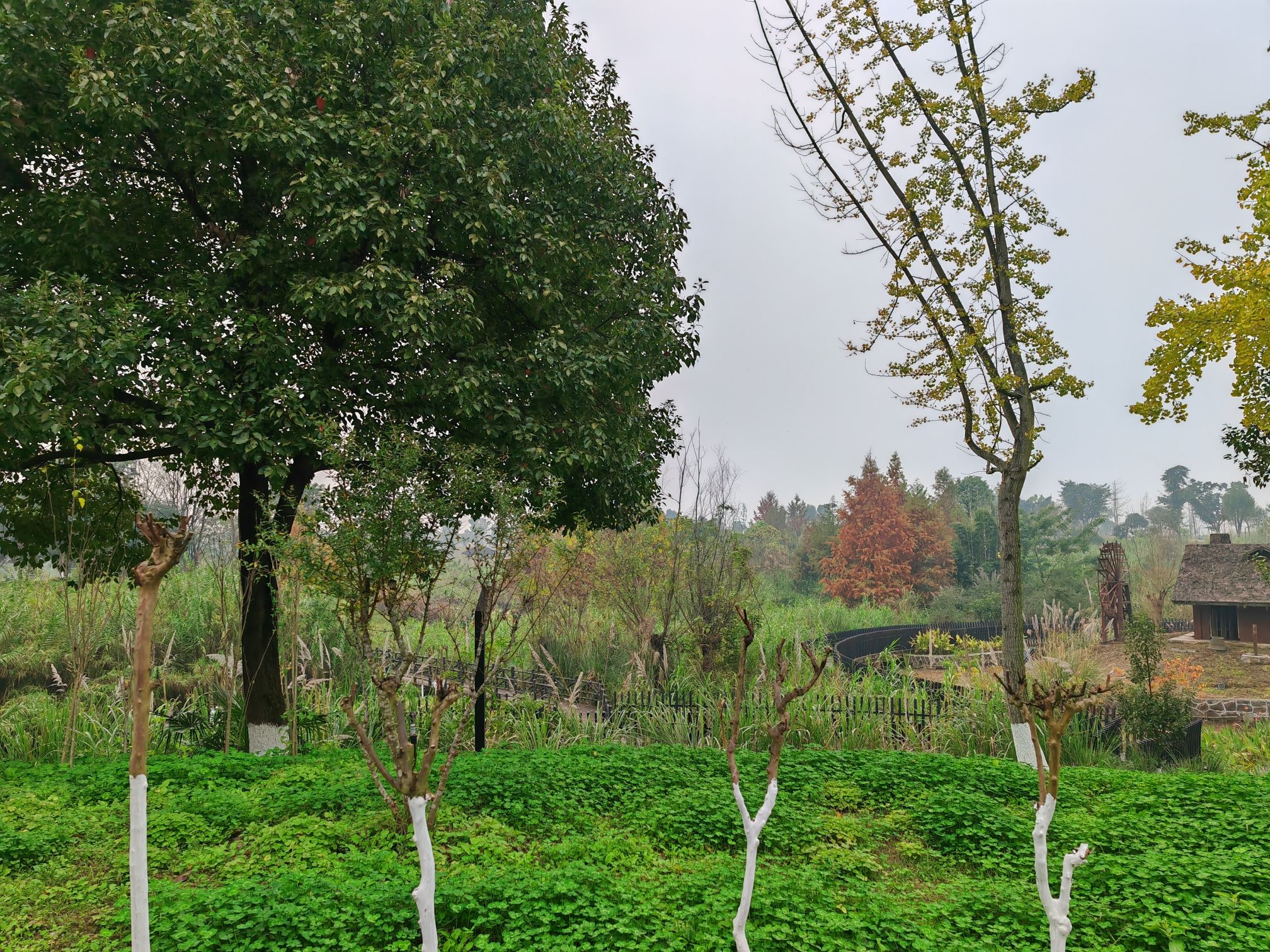 花房子湿地公园旅行图片 1