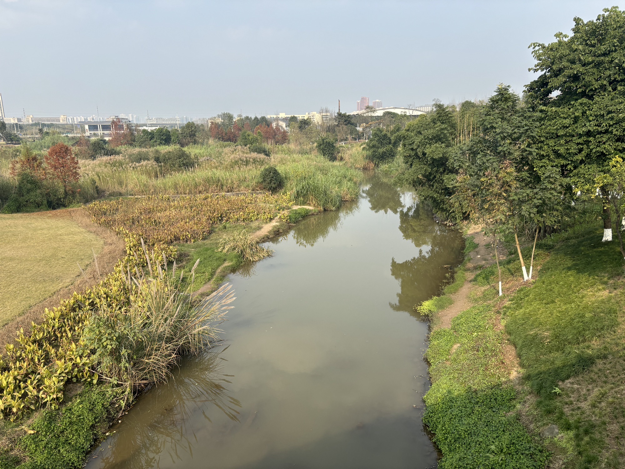 花房子湿地公园旅行图片 1