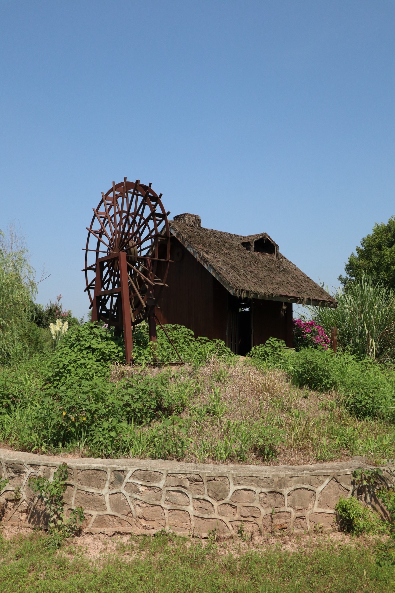 花房子湿地公园旅行图片 2