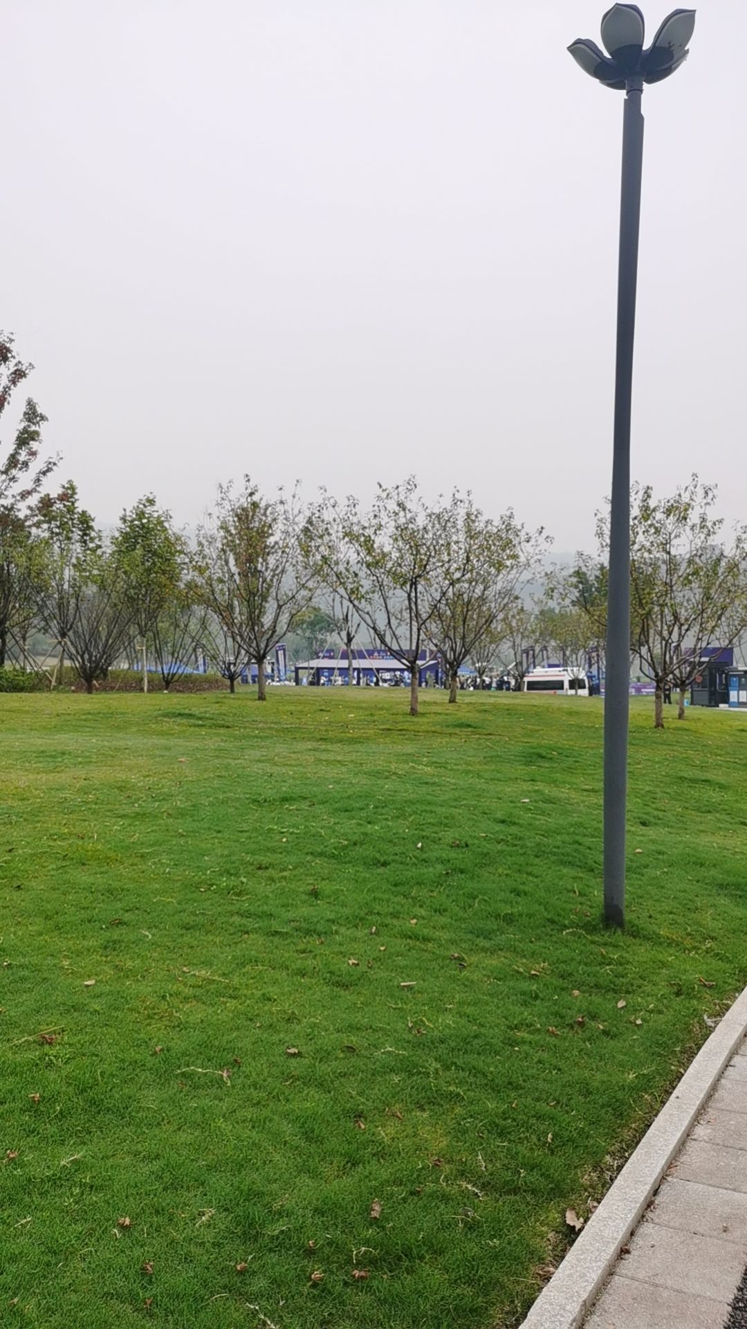 花房子湿地公园旅行图片 3