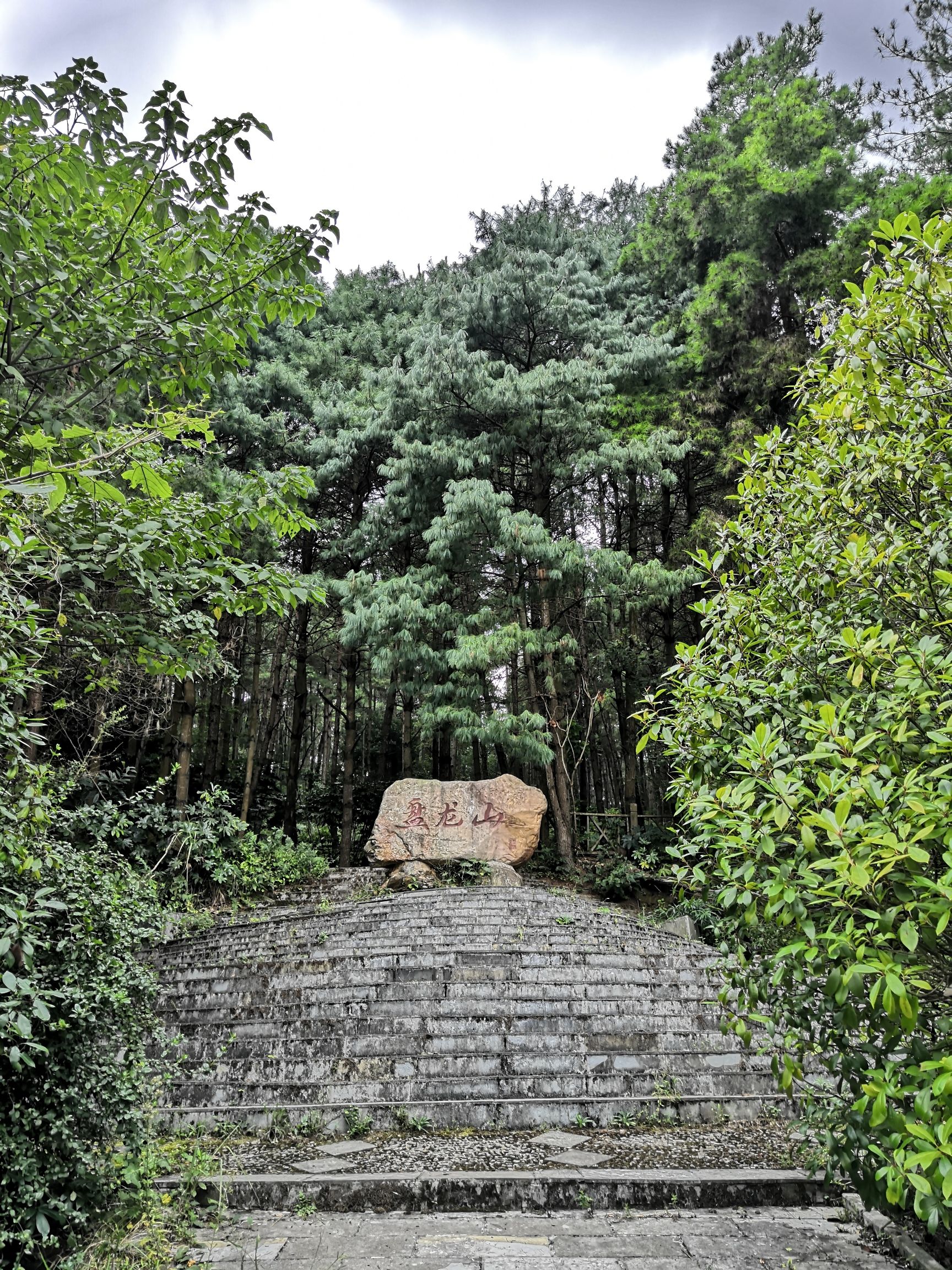 盘龙山森林公园旅行图片 1
