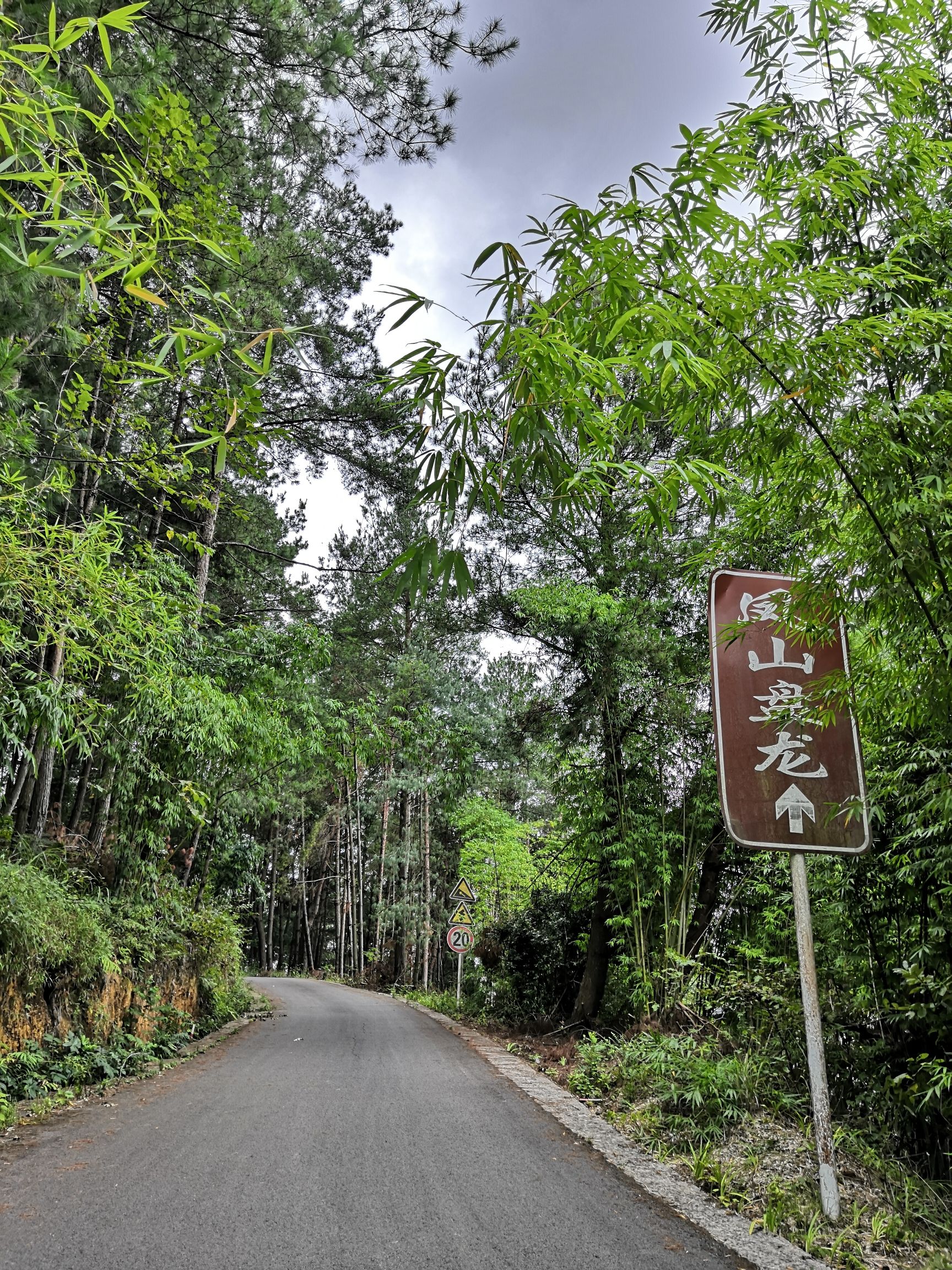 盘龙山森林公园旅行图片 3