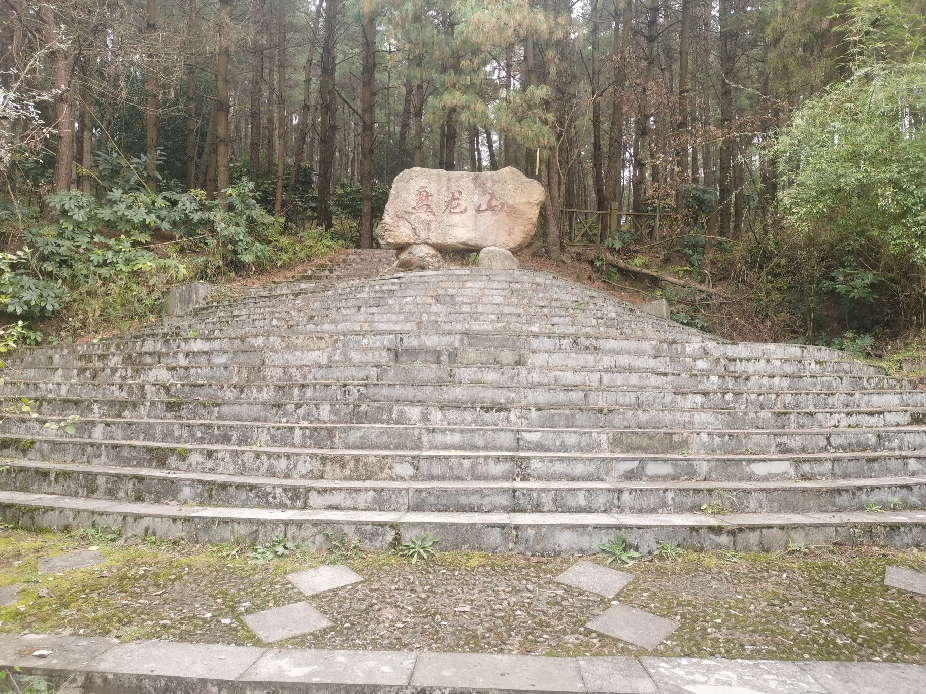 盘龙山森林公园旅行图片 3