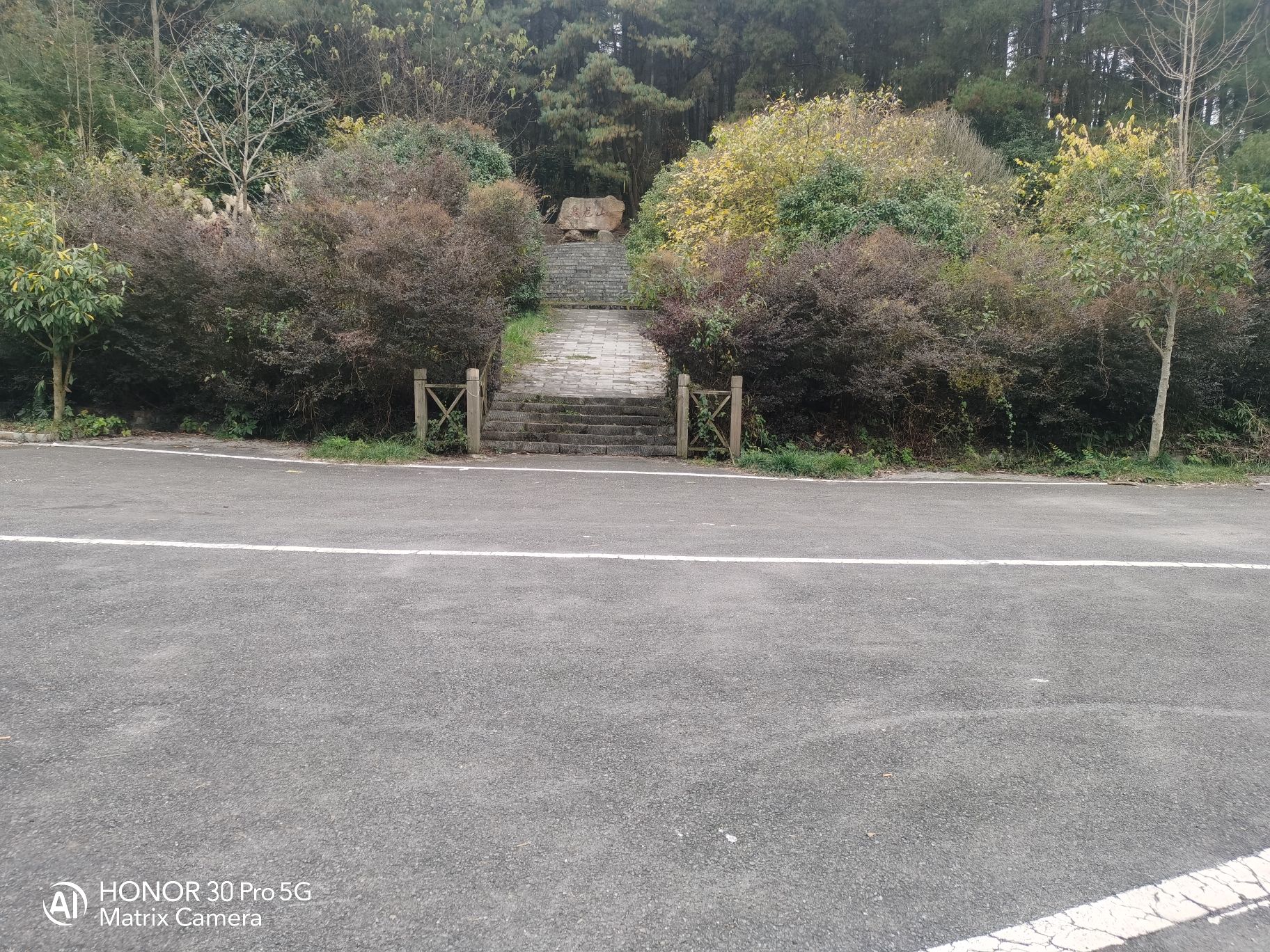 盘龙山森林公园旅行图片 1