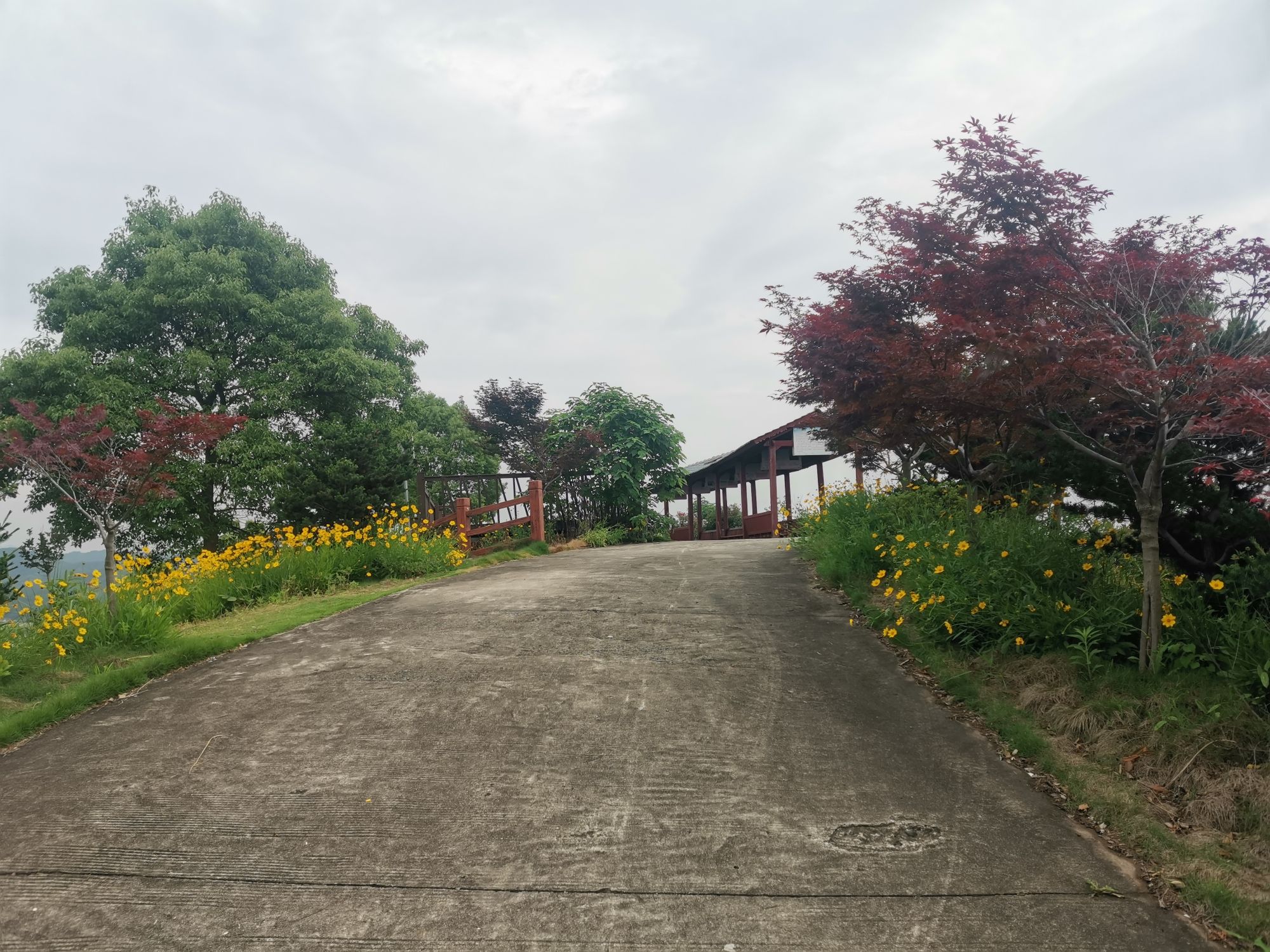 牛头山风景区旅行图片 3