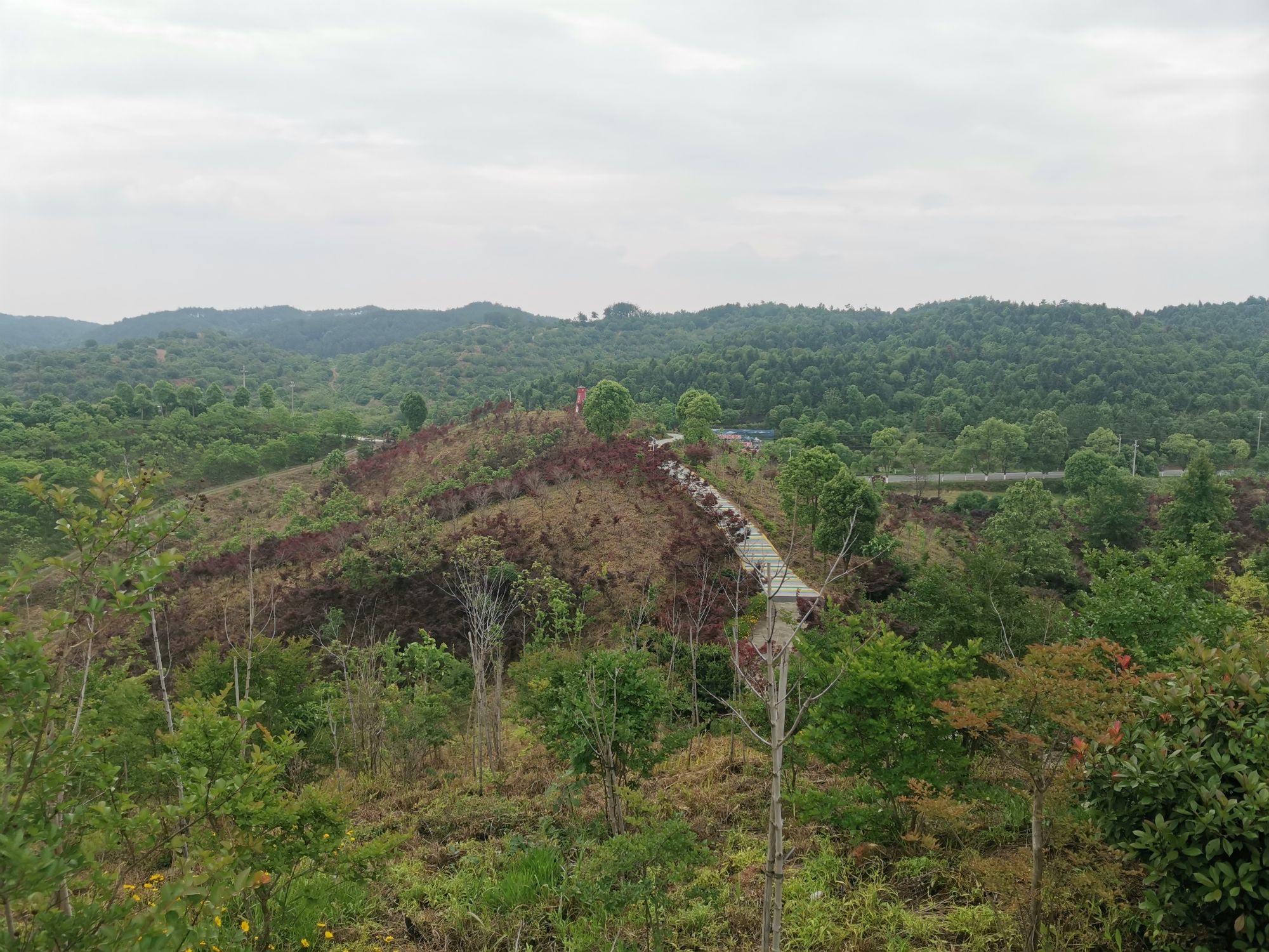 牛头山风景区旅行图片 2