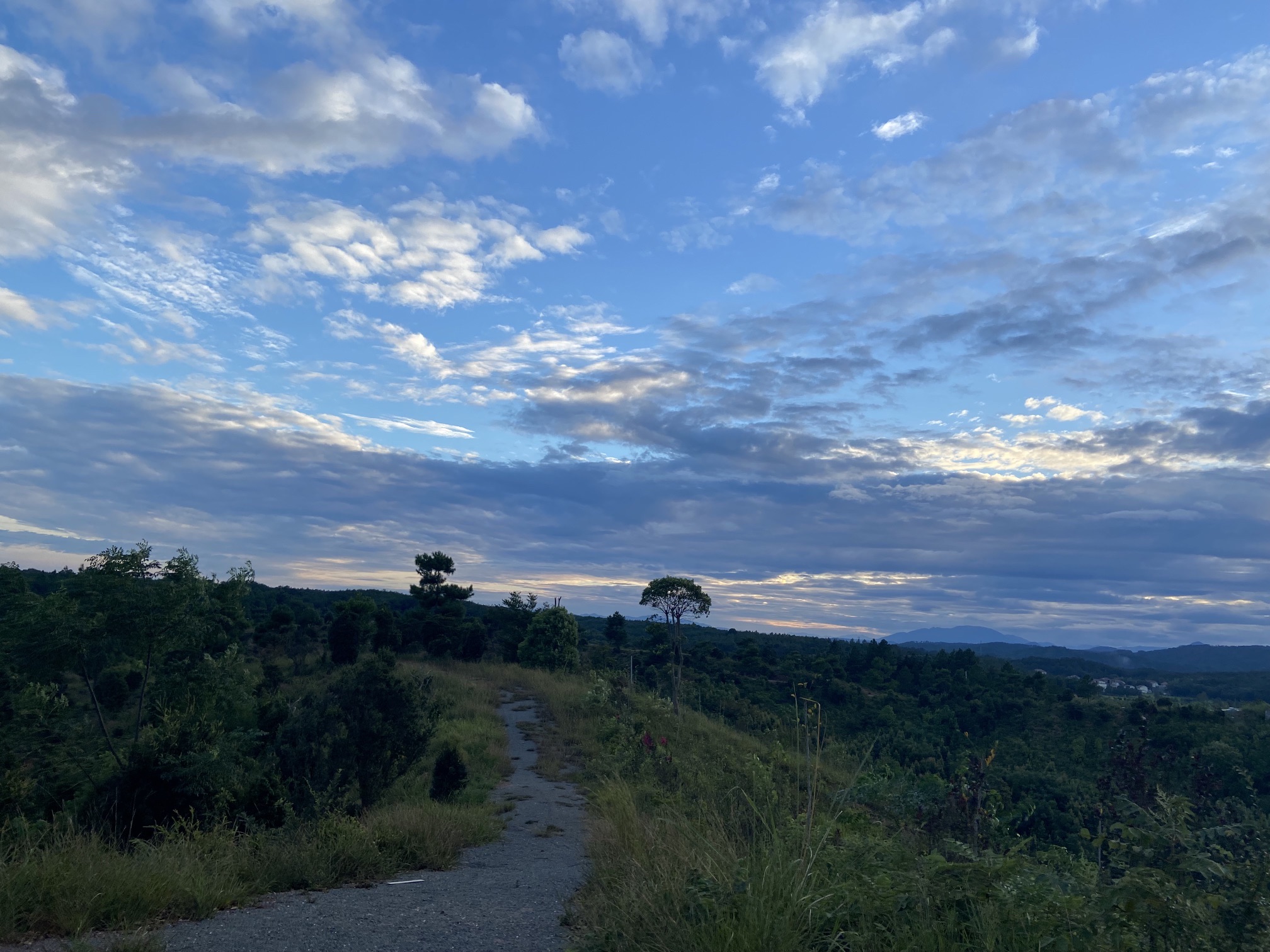 牛头山风景区旅行图片 3