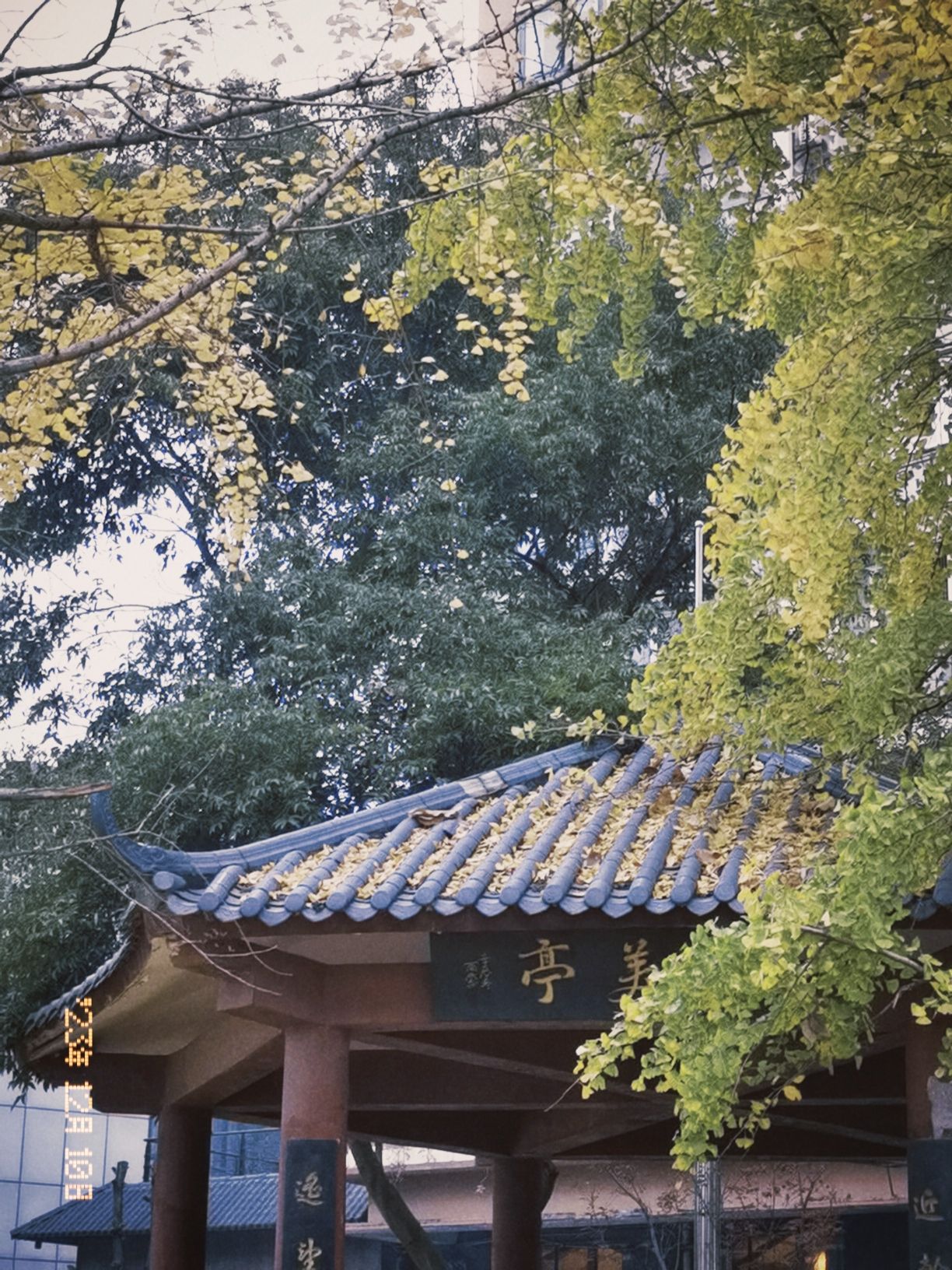 丰都县滨江景区旅行图片 3