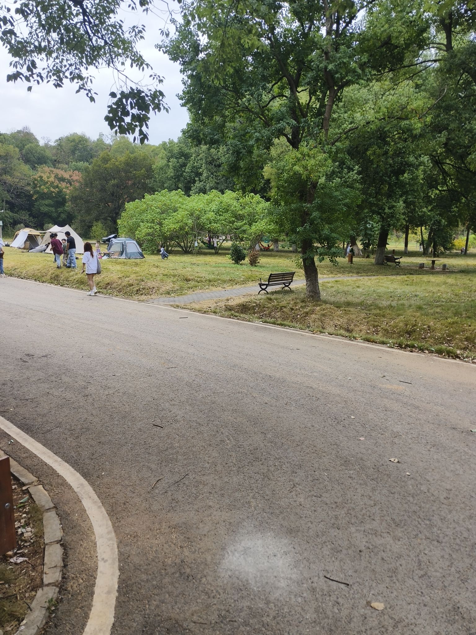湖南嘉山森林公园旅行图片 3