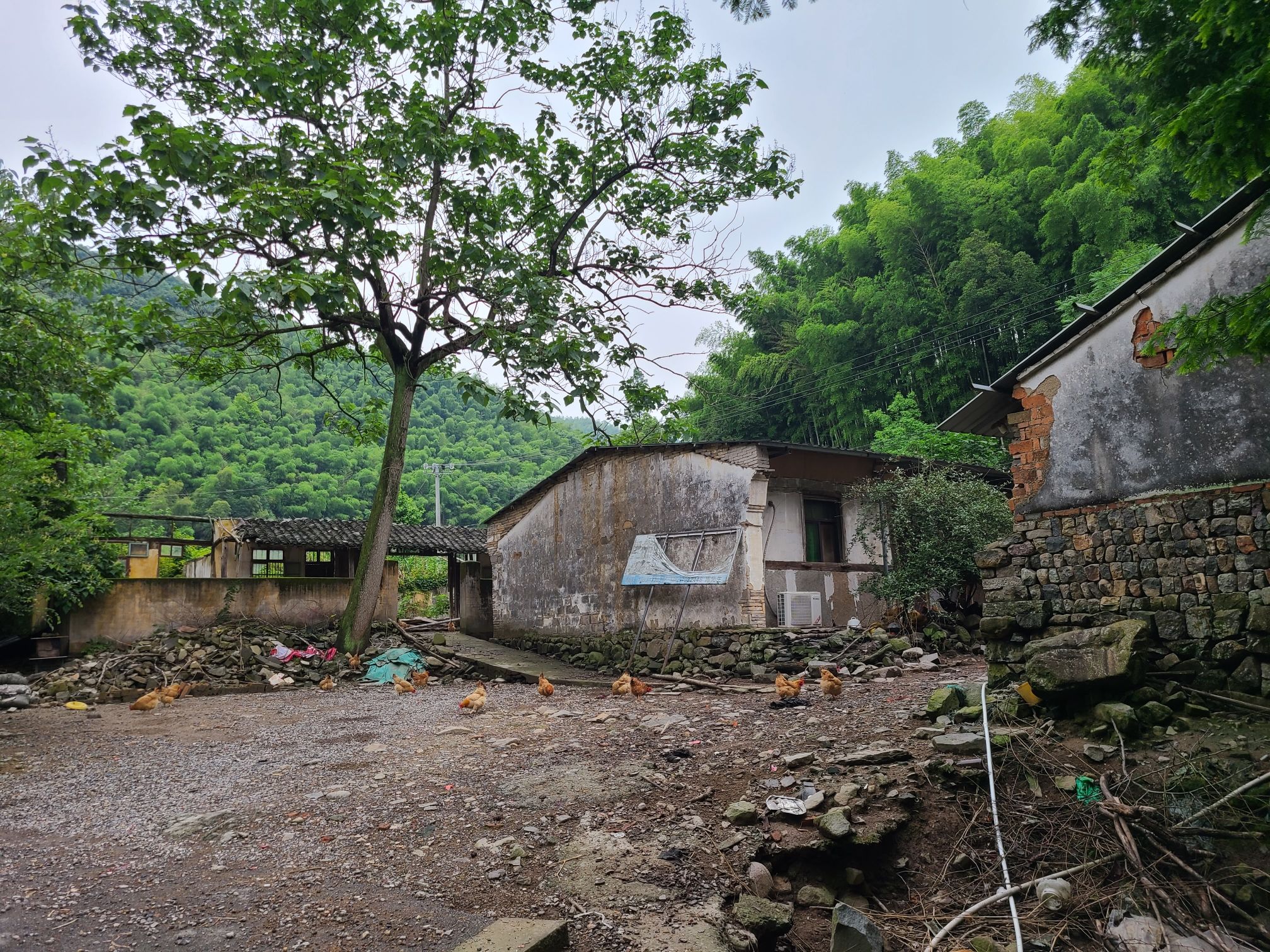 桐岭仙境旅行图片 3