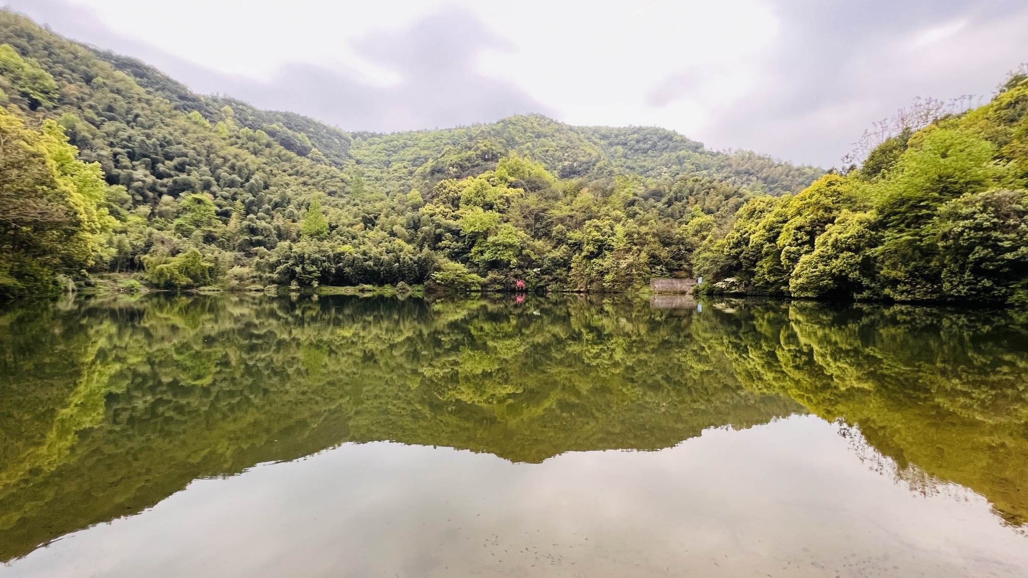 桐岭仙境旅行图片 1