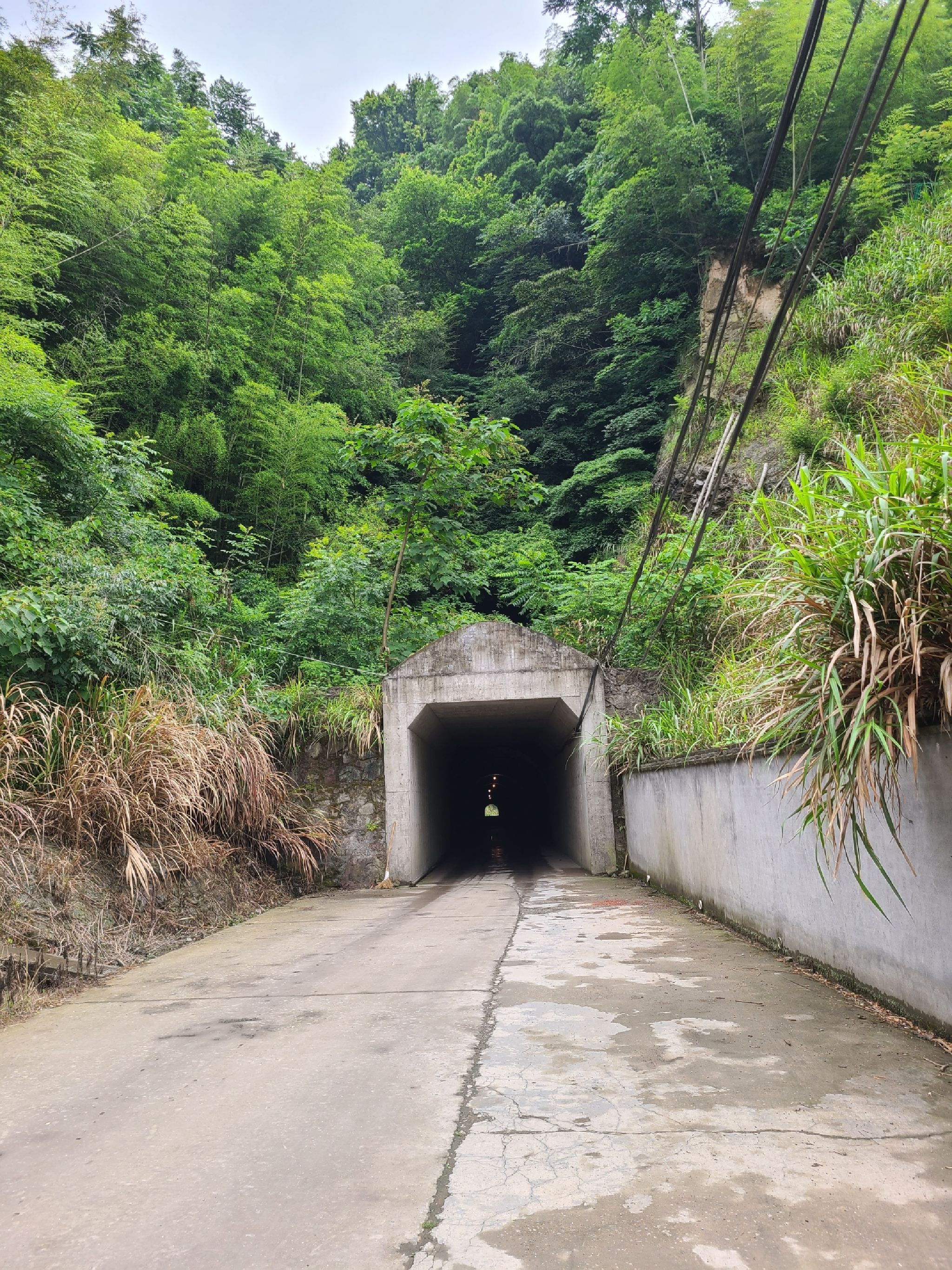 桐岭仙境旅行图片 1