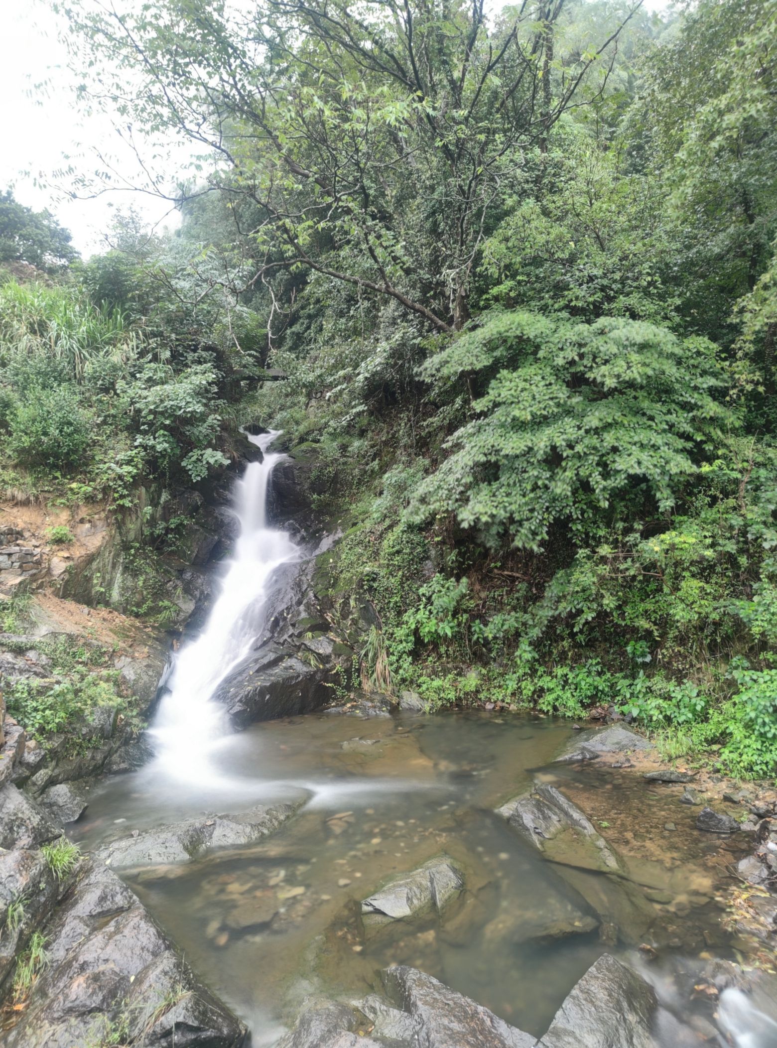 桐岭仙境旅行图片 1