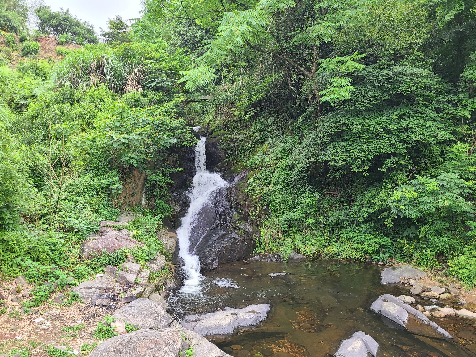 桐岭仙境旅行图片 2