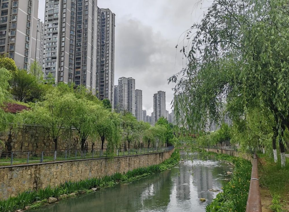 小湾河湿地公园旅行图片 1