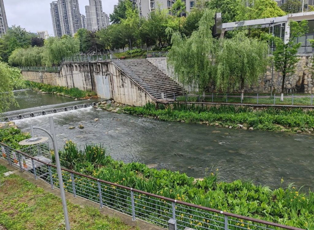 小湾河湿地公园旅行图片 2