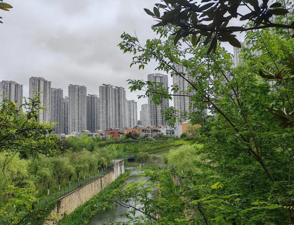 小湾河湿地公园旅行图片 3