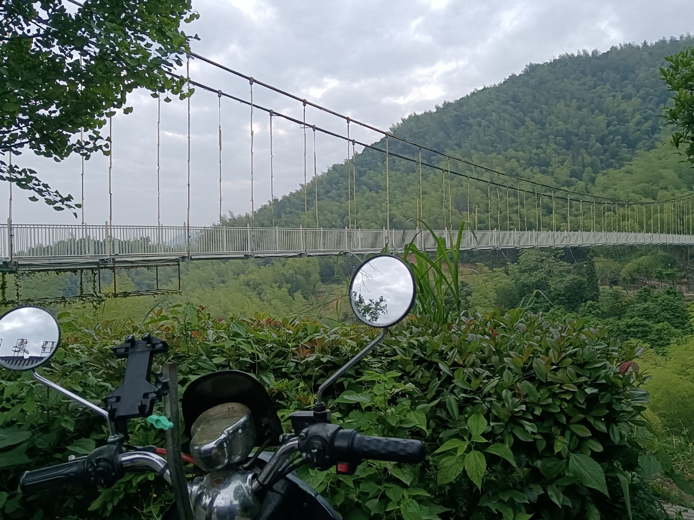 北山村云端天桥旅行图片 3