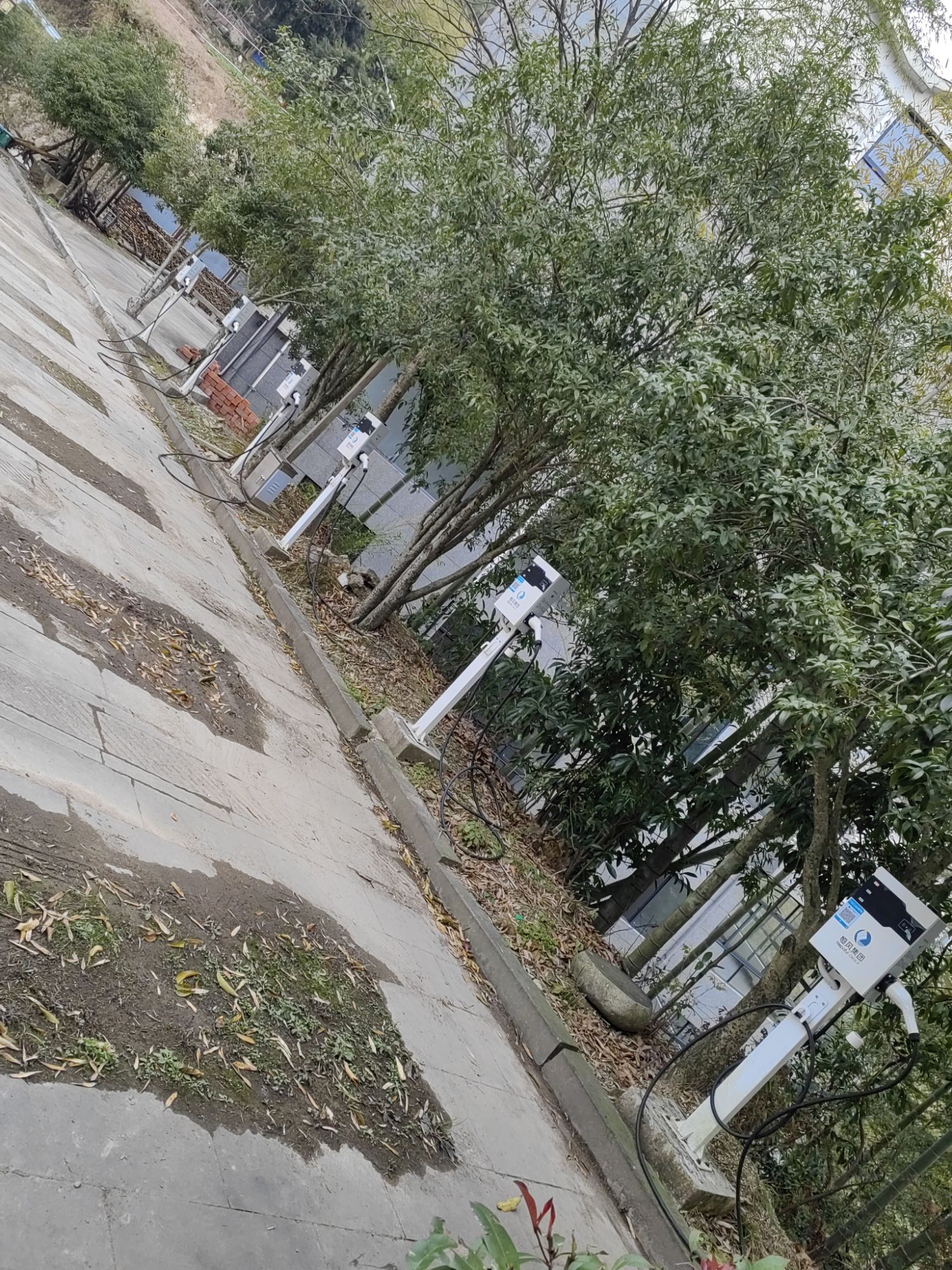 北山村云端天桥旅行图片 1