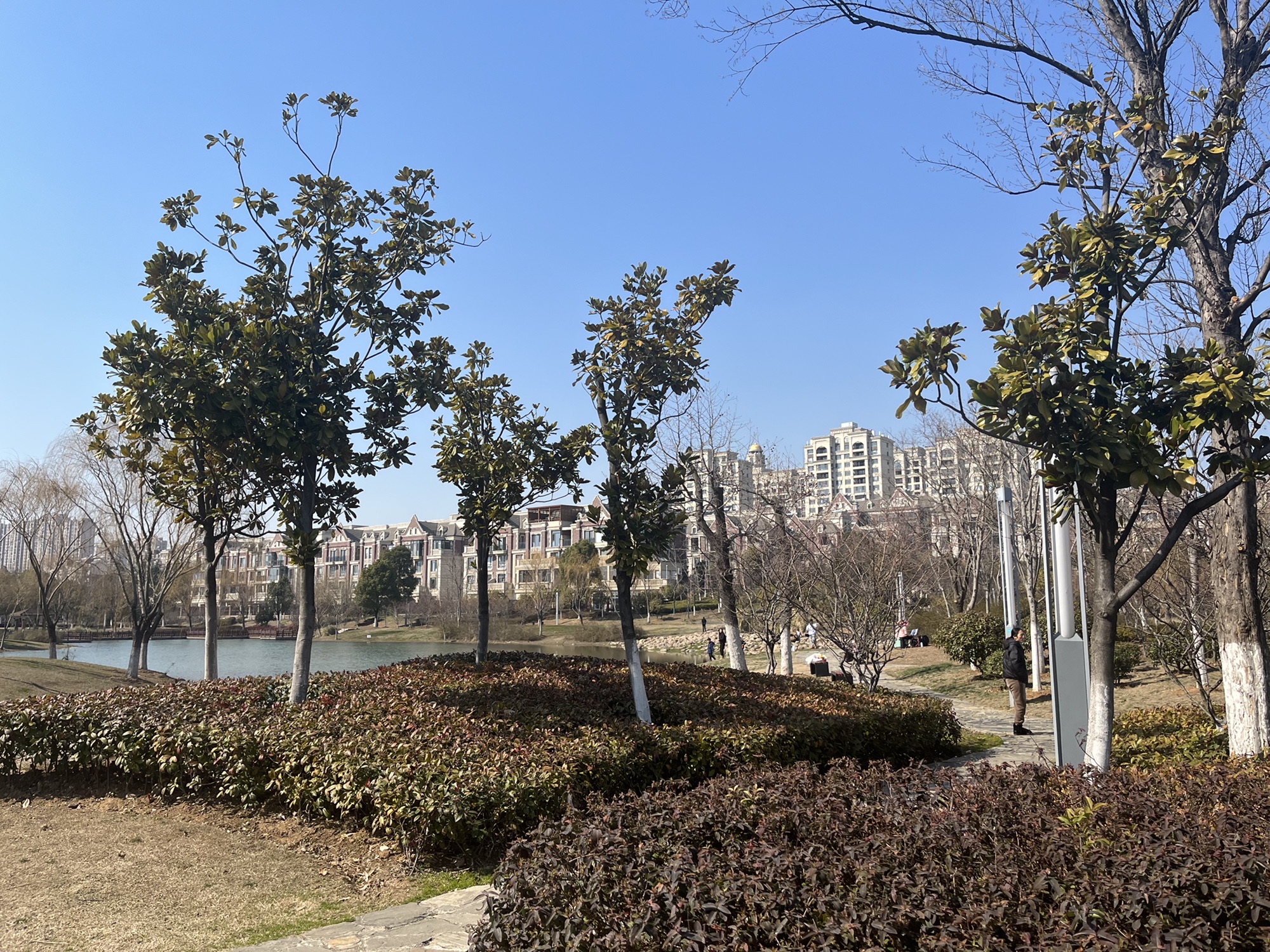 镇江市白龙湖公园旅行图片 2