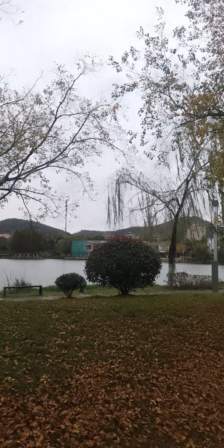 镇江市白龙湖公园旅行图片 1