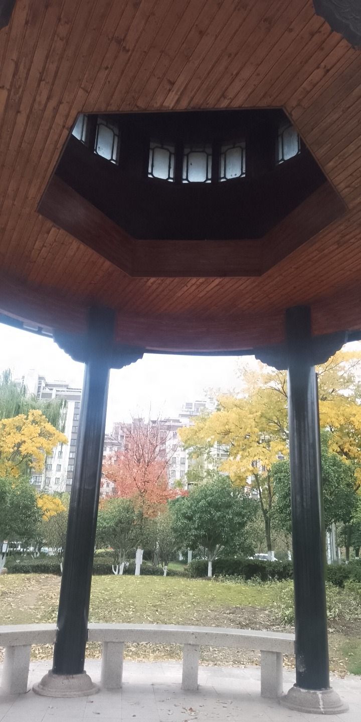 镇江市白龙湖公园旅行图片 2