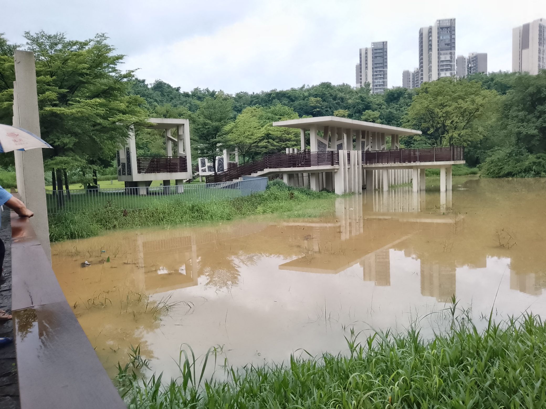 保利盆景山公园旅行图片 1