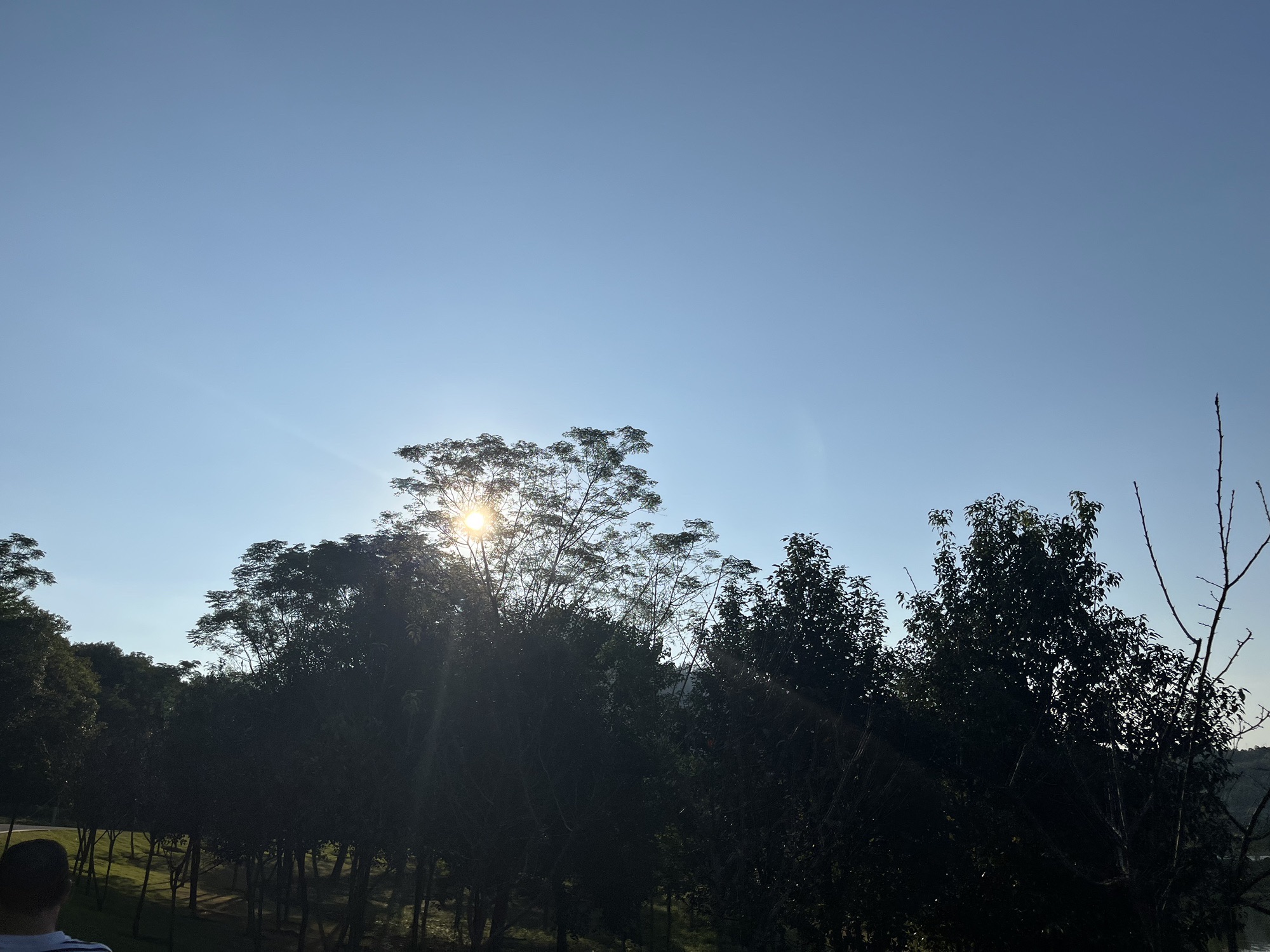 保利盆景山公园旅行图片 1