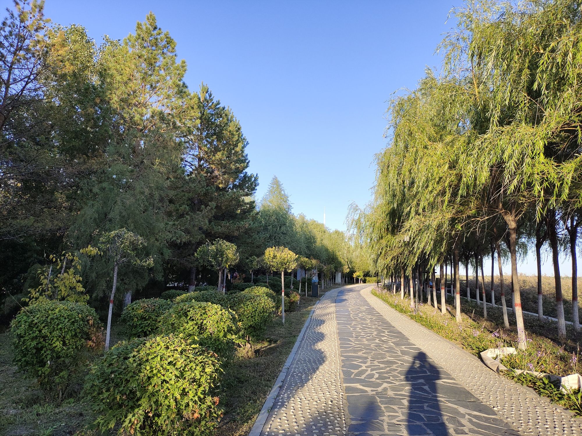 南湖国家湿地公园旅行图片 1