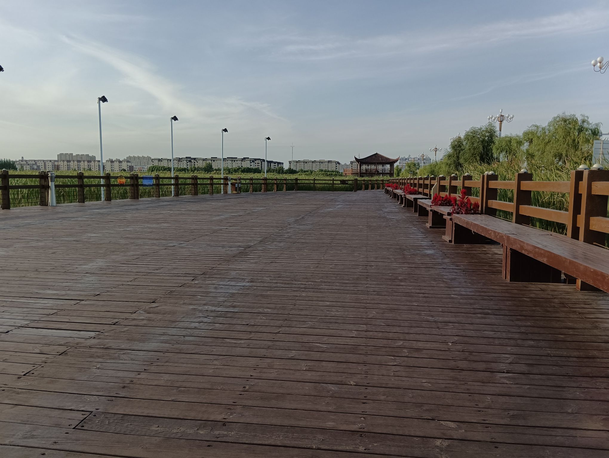 南湖国家湿地公园旅行图片 3
