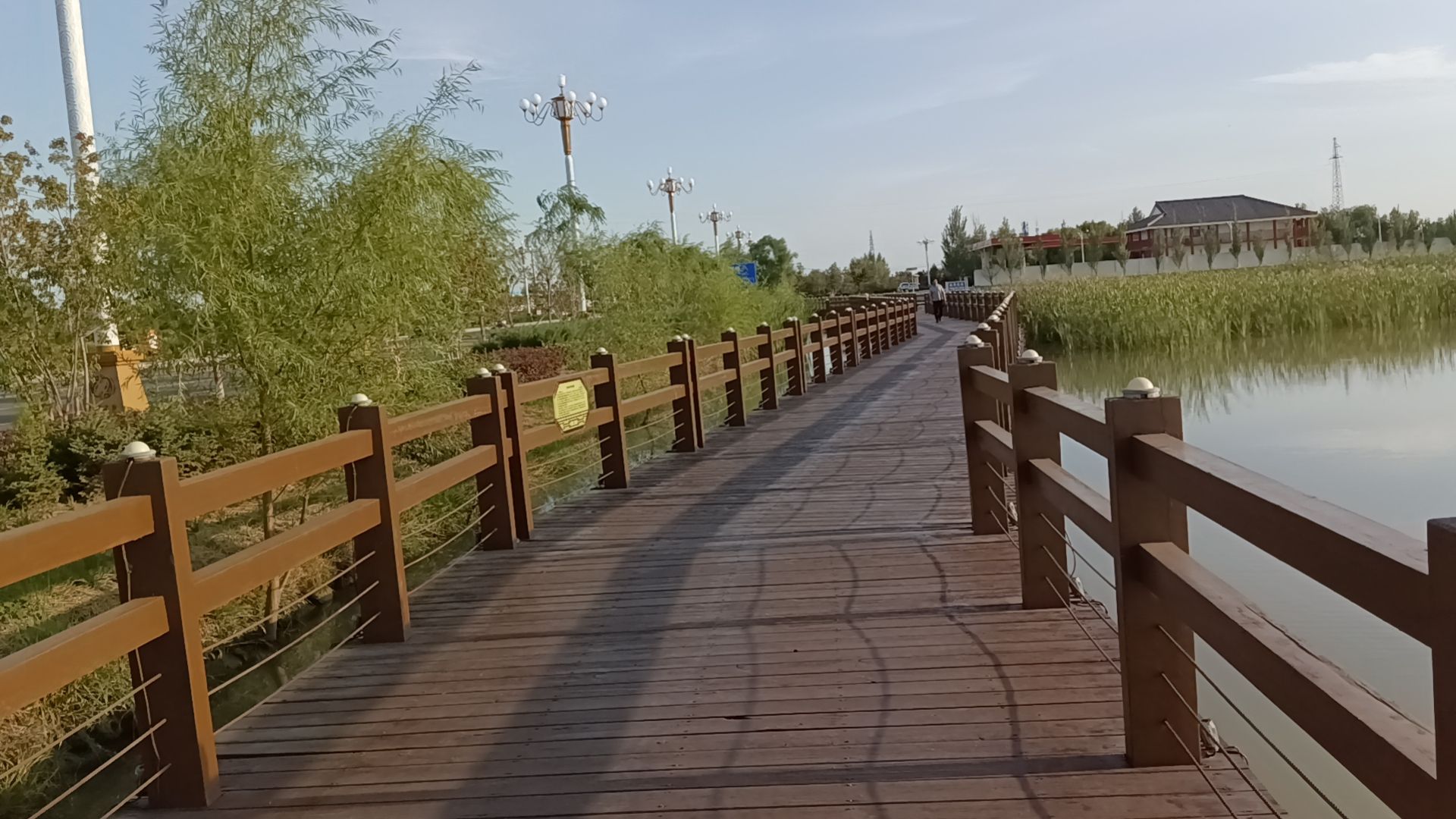 南湖国家湿地公园旅行图片 1