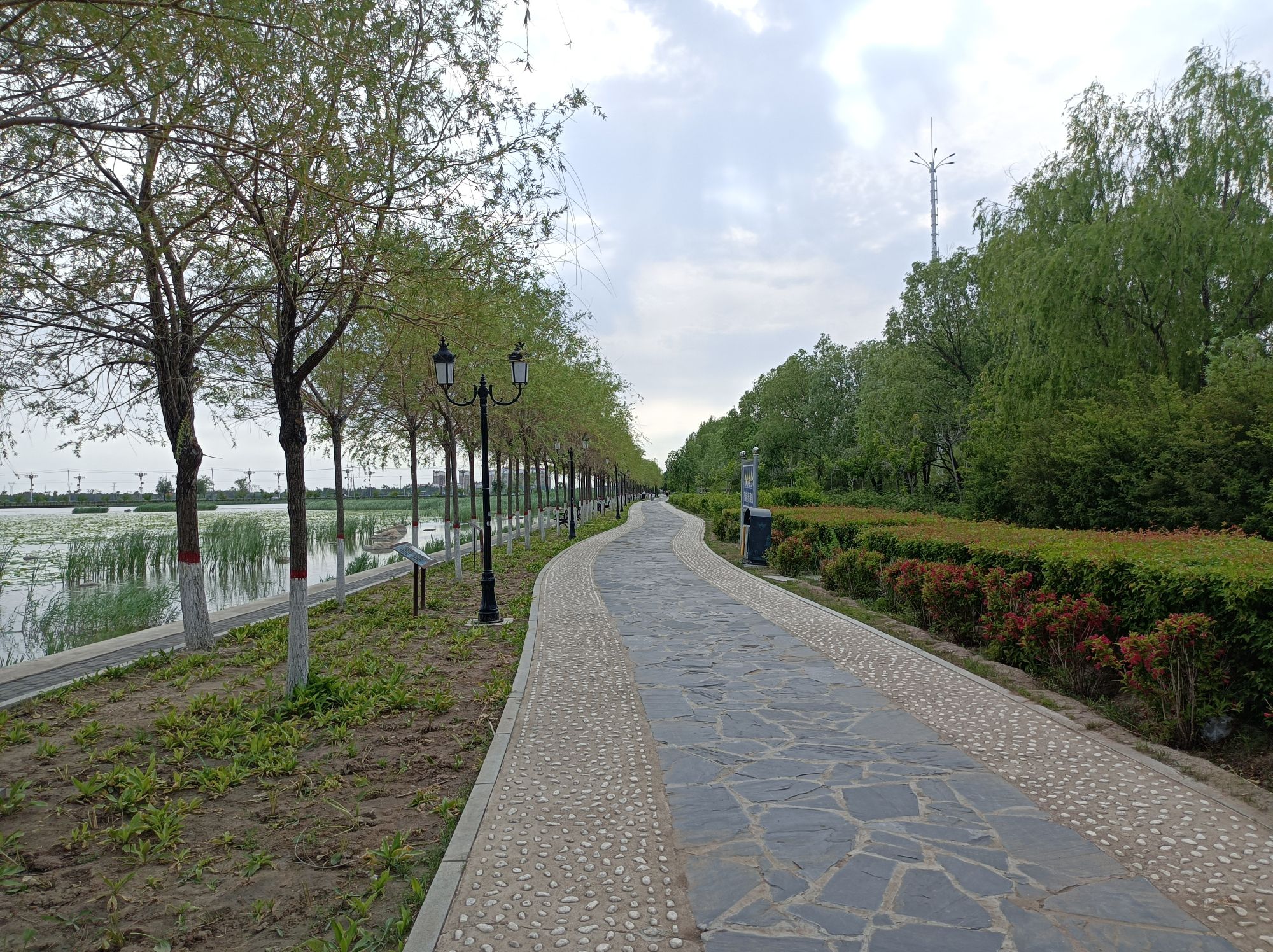 南湖国家湿地公园旅行图片 1