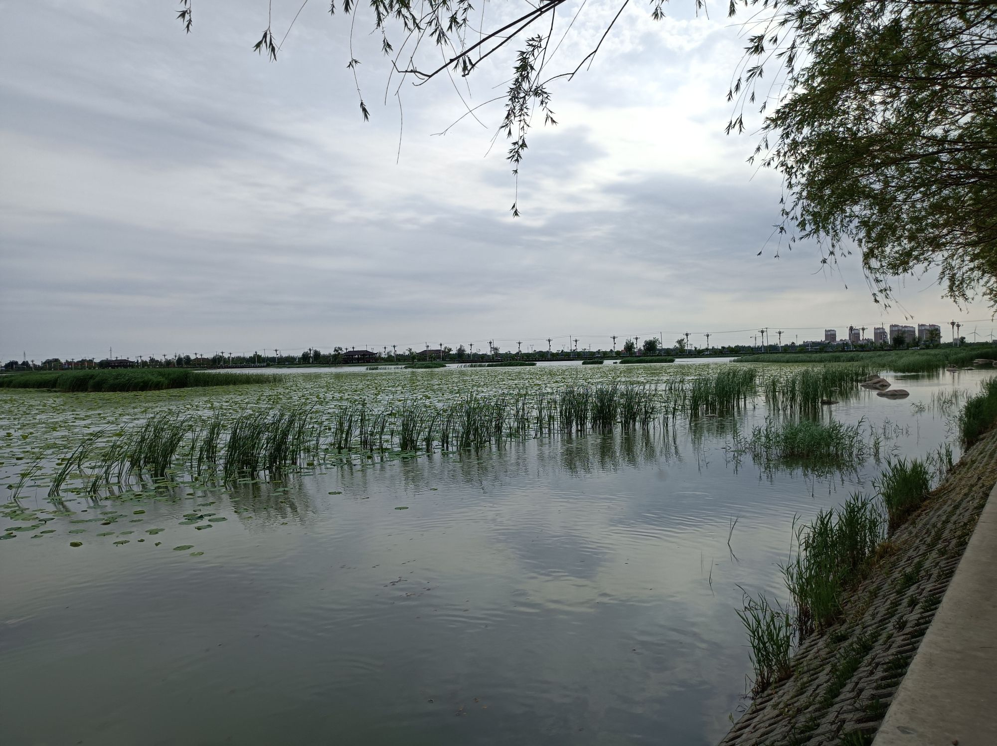 南湖国家湿地公园旅行图片 2