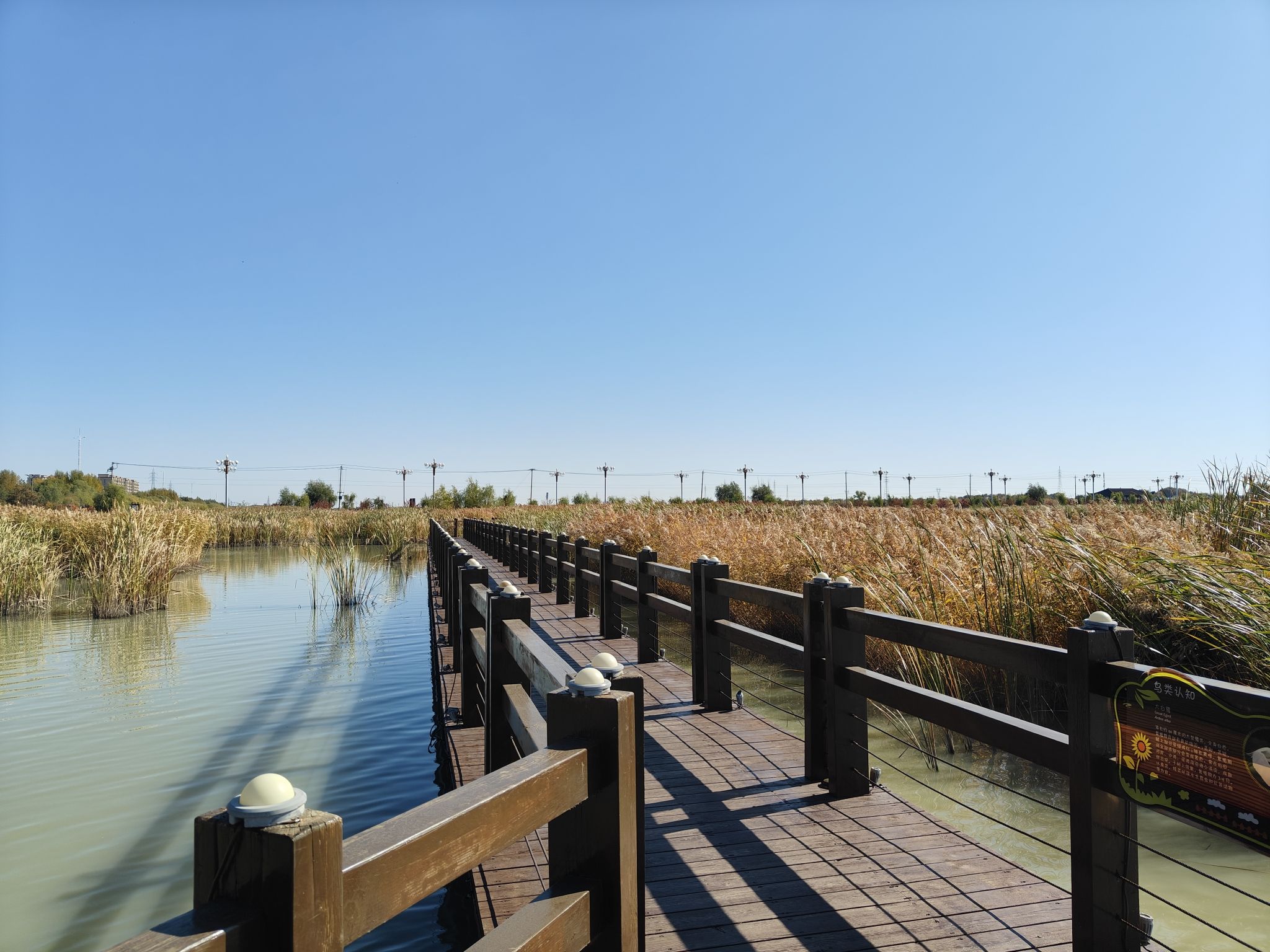 南湖国家湿地公园旅行图片 2