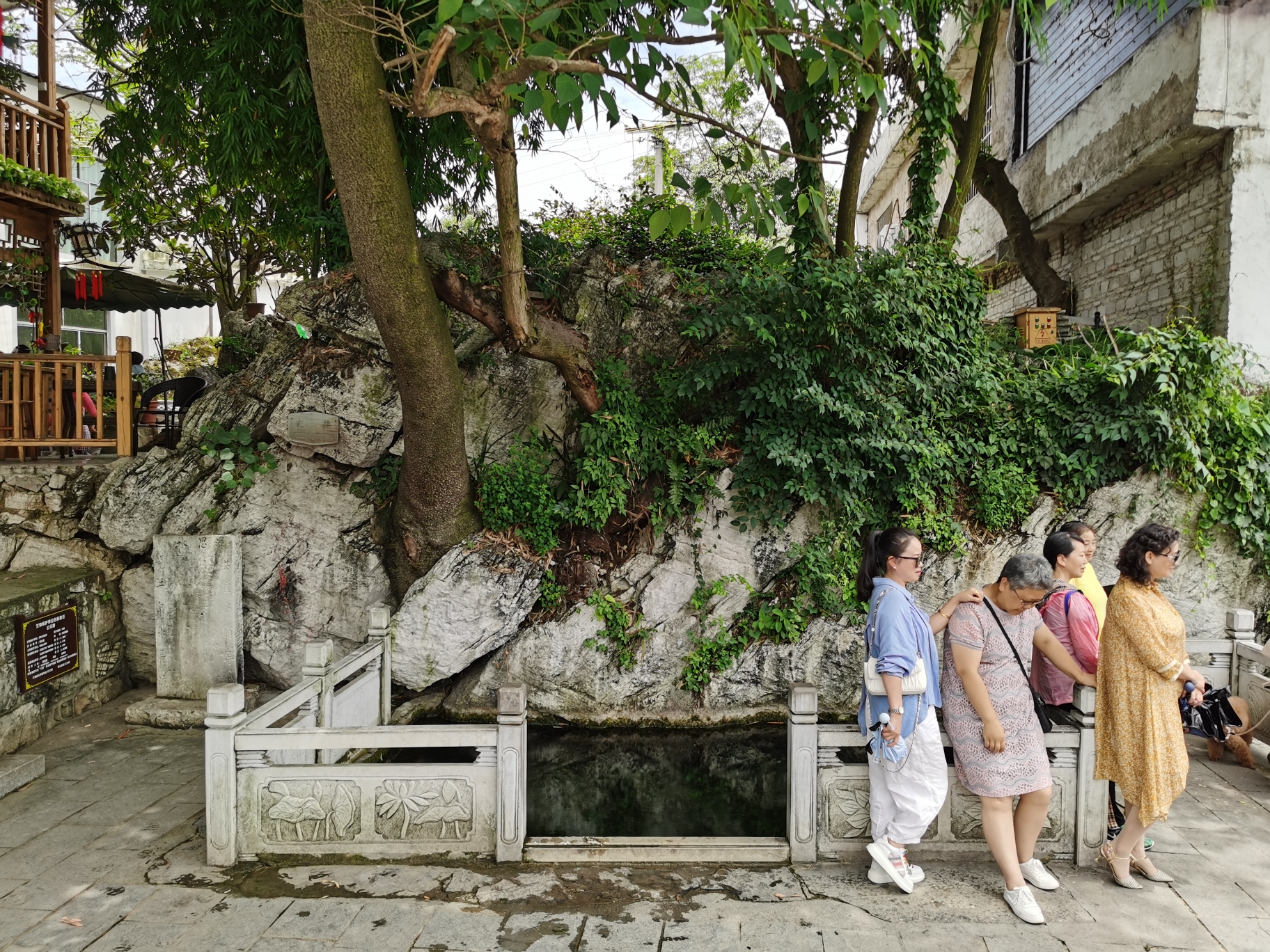 青岩龙井寨龙井旅行图片 1