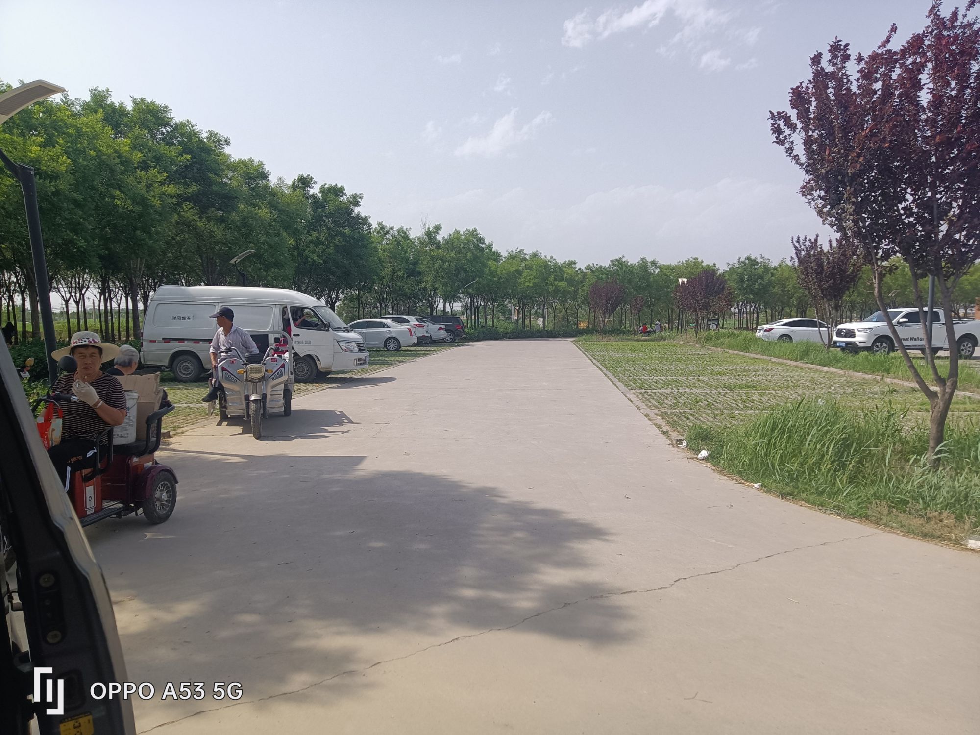 胜芳湿地公园旅行图片 3
