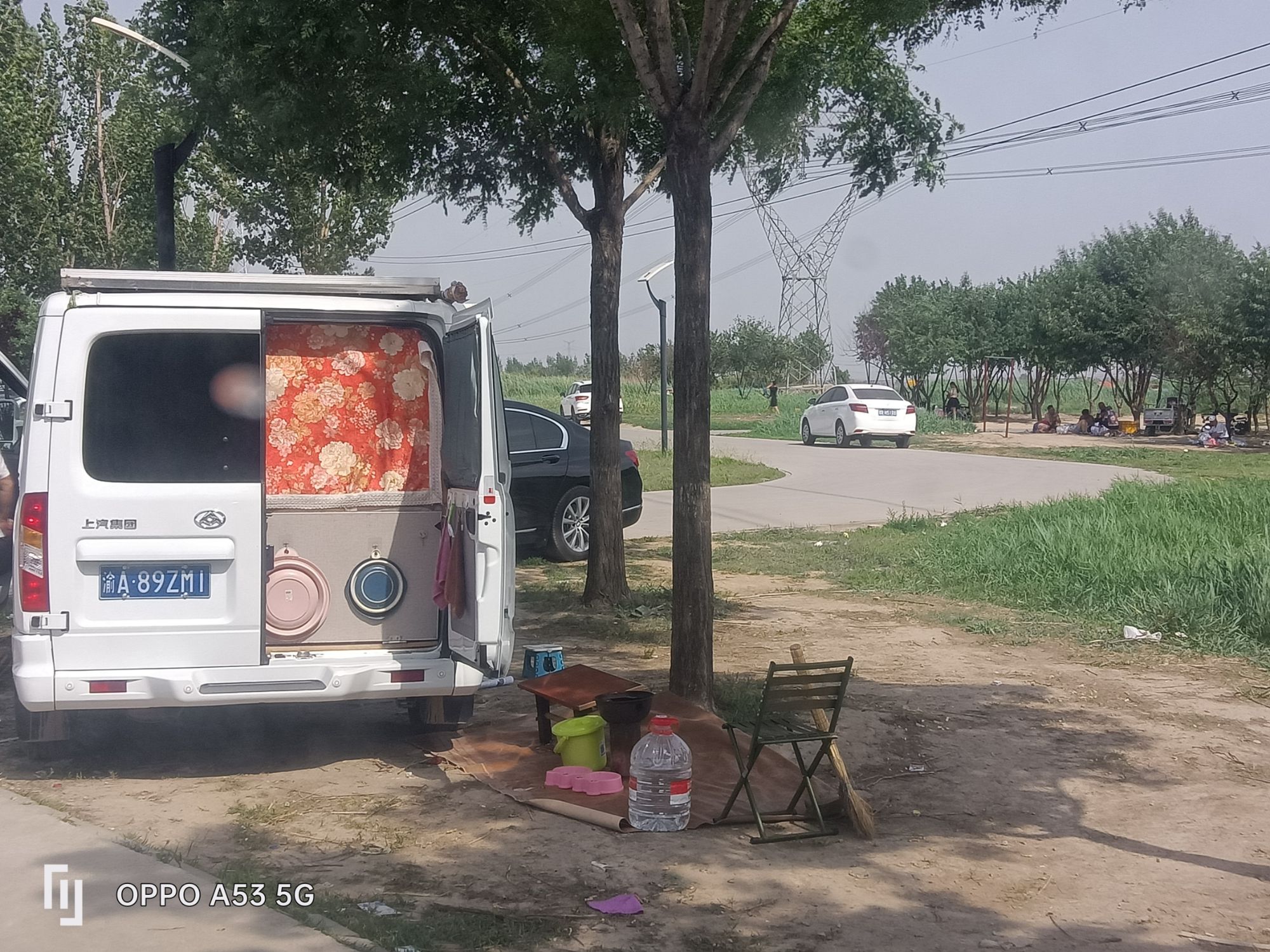 胜芳湿地公园旅行图片 2