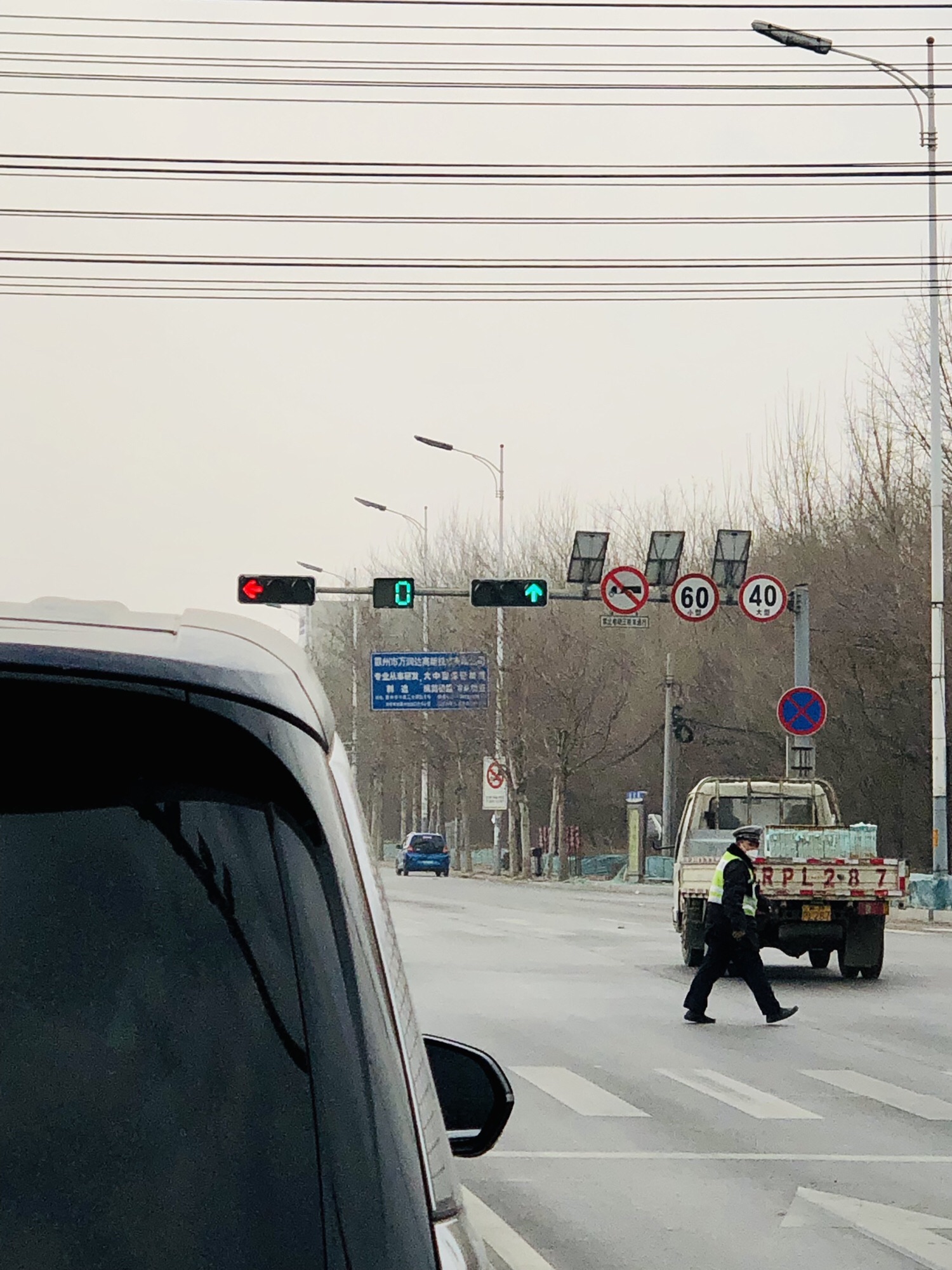 胜芳湿地公园旅行图片 2