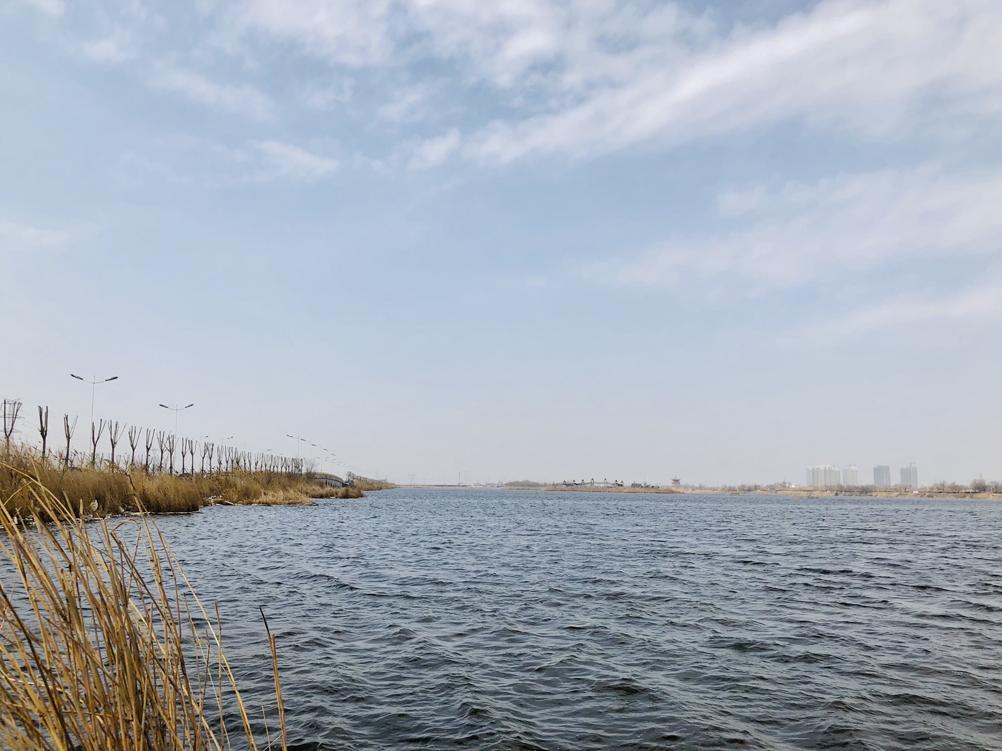 胜芳湿地公园旅行图片 3