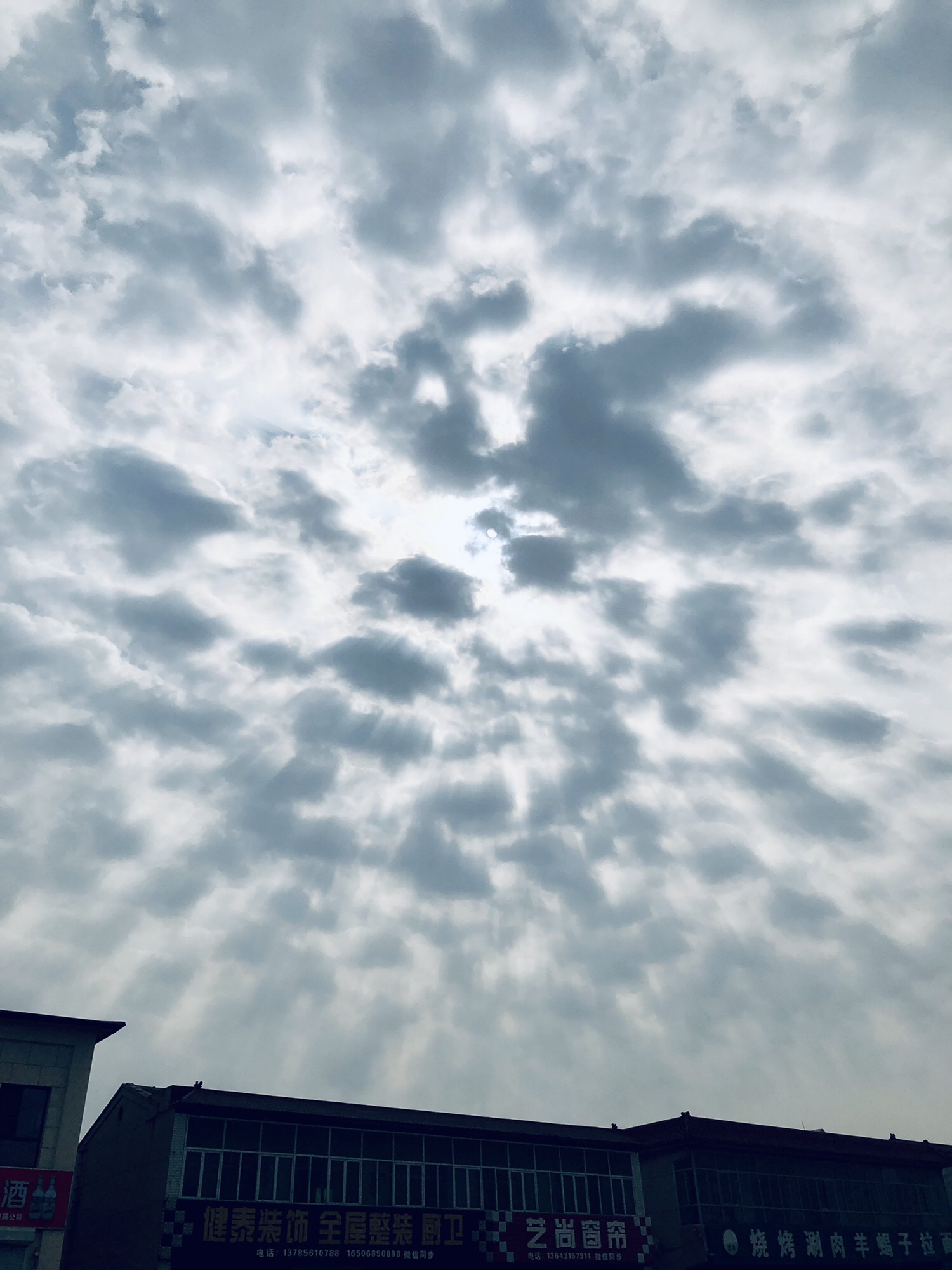 胜芳湿地公园旅行图片 1