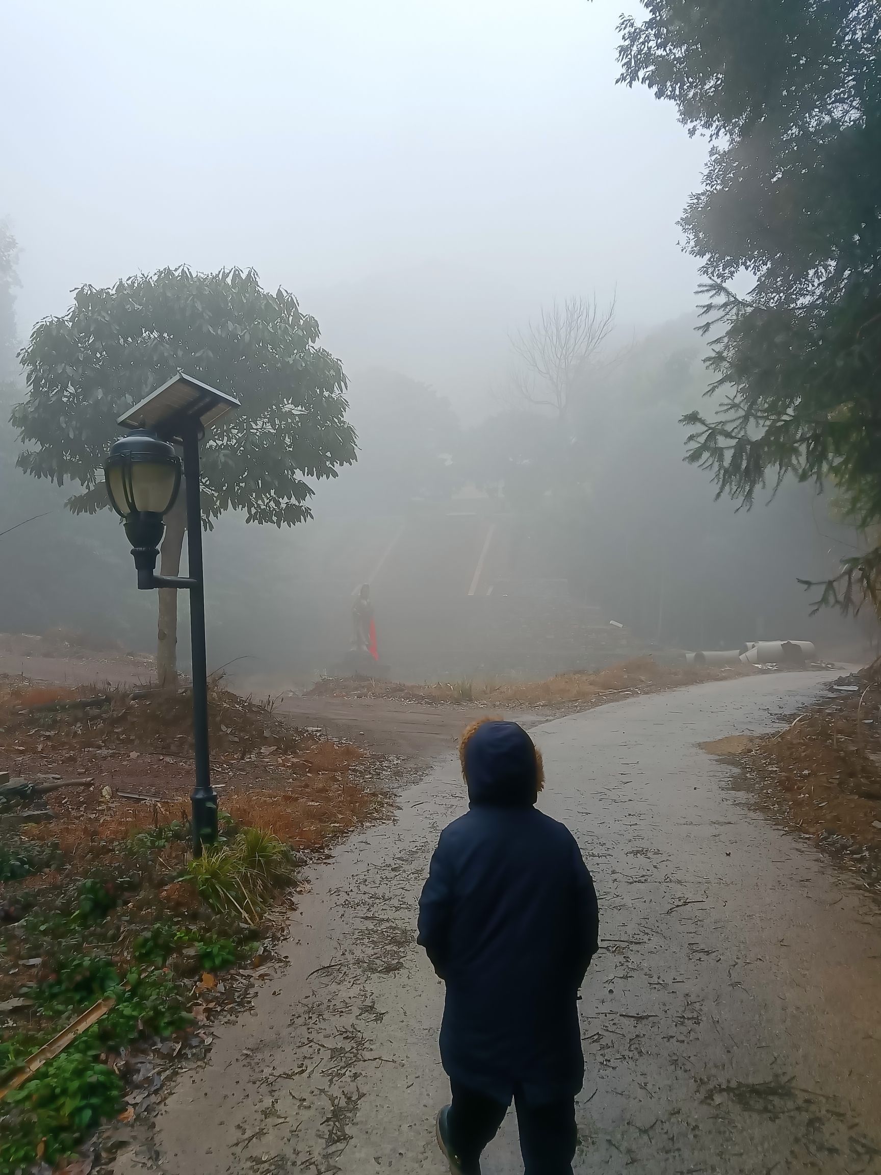 江西省虎峰山省级森林公园旅行图片 3